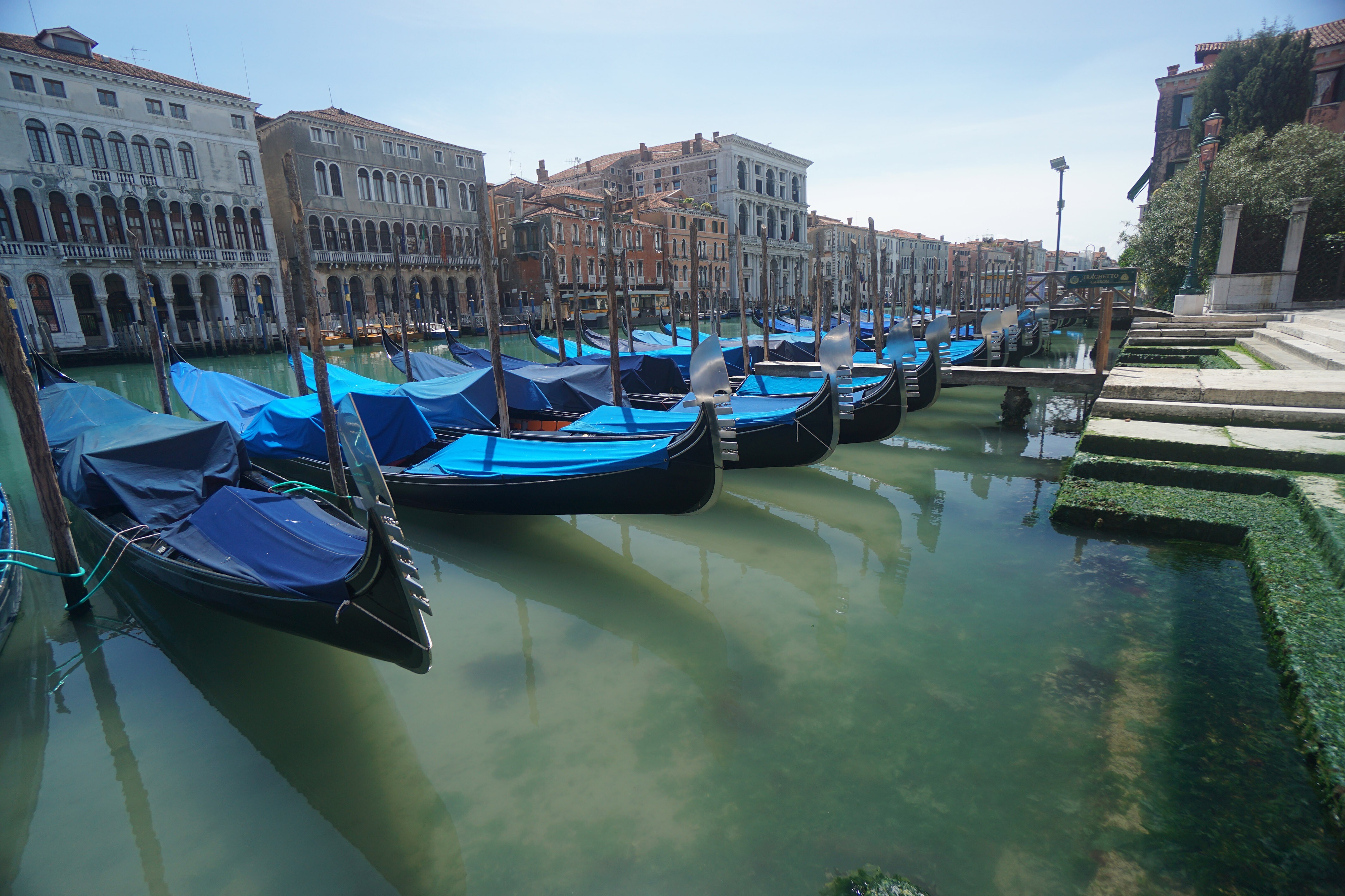 Gondolas moored on the Grand Canal, in Venice, Italy. Photo: AP