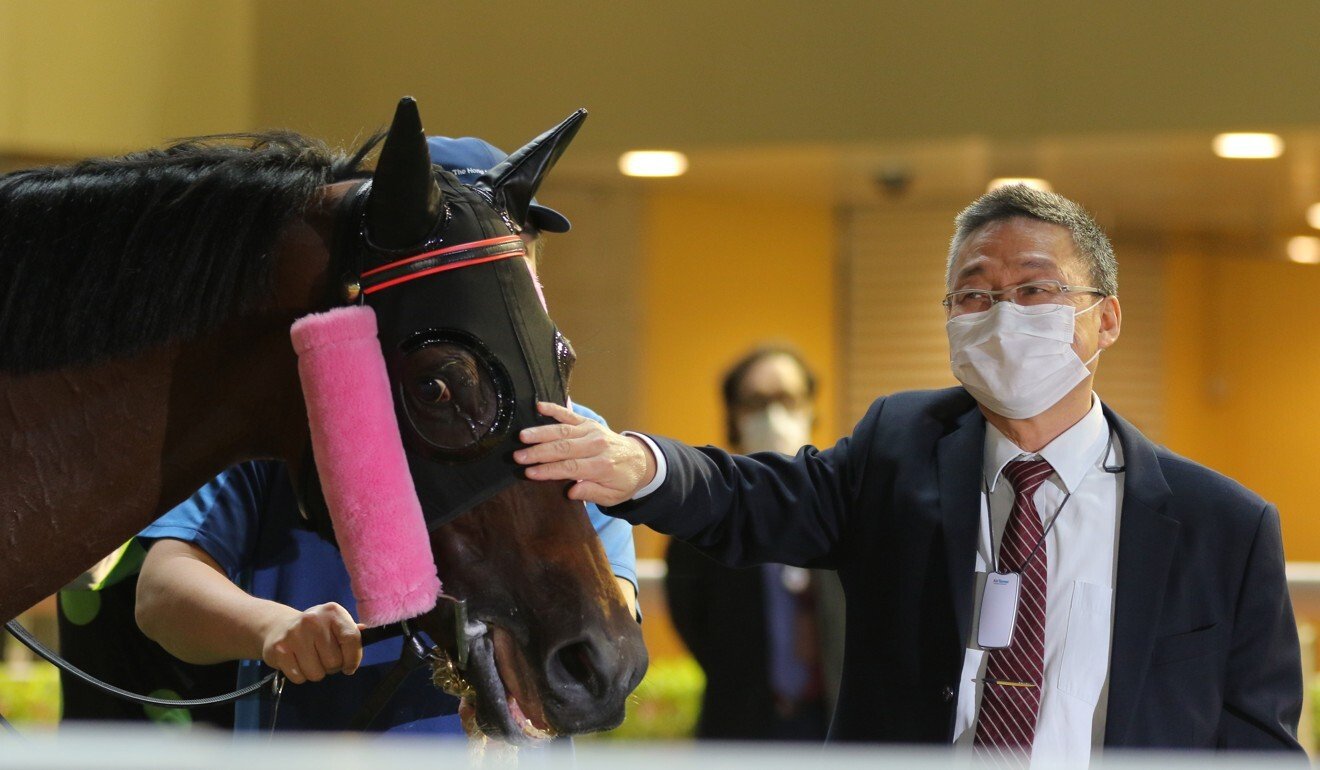 Trainer Francis Lui inspects This Is Class after his win at Happy Valley