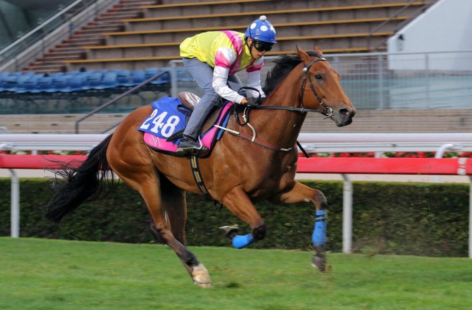 Management Supreme trials at Sha Tin. Photo: Kenneth Chan