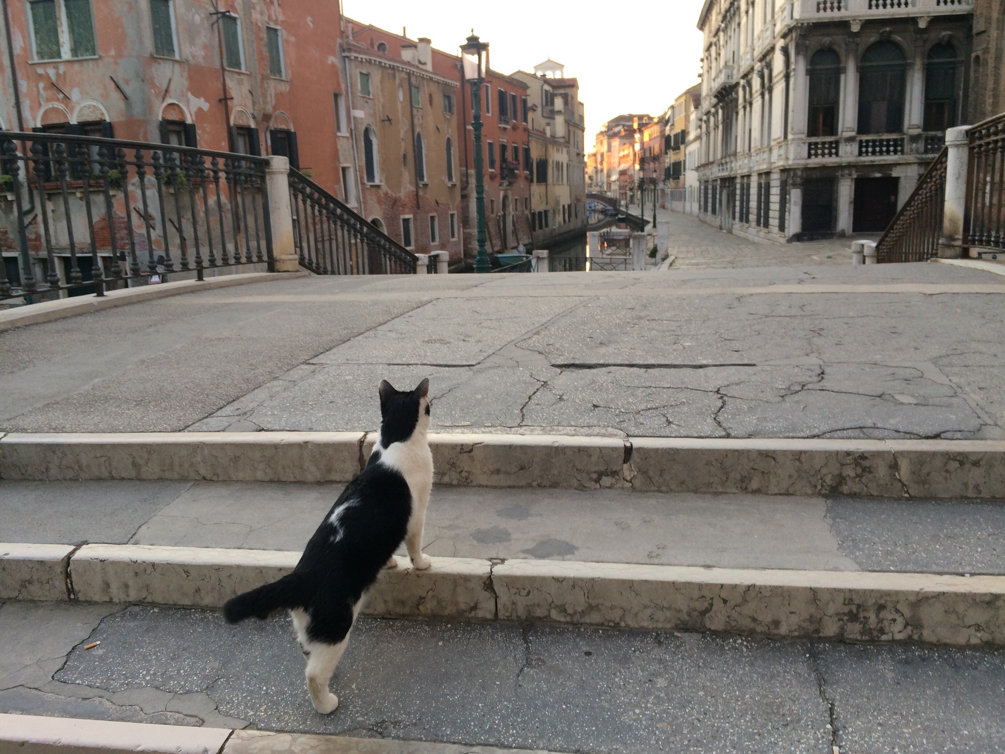 As Italy prepares to reopen, a last look at Venice in lockdown – empty  streets and still waters | South China Morning Post