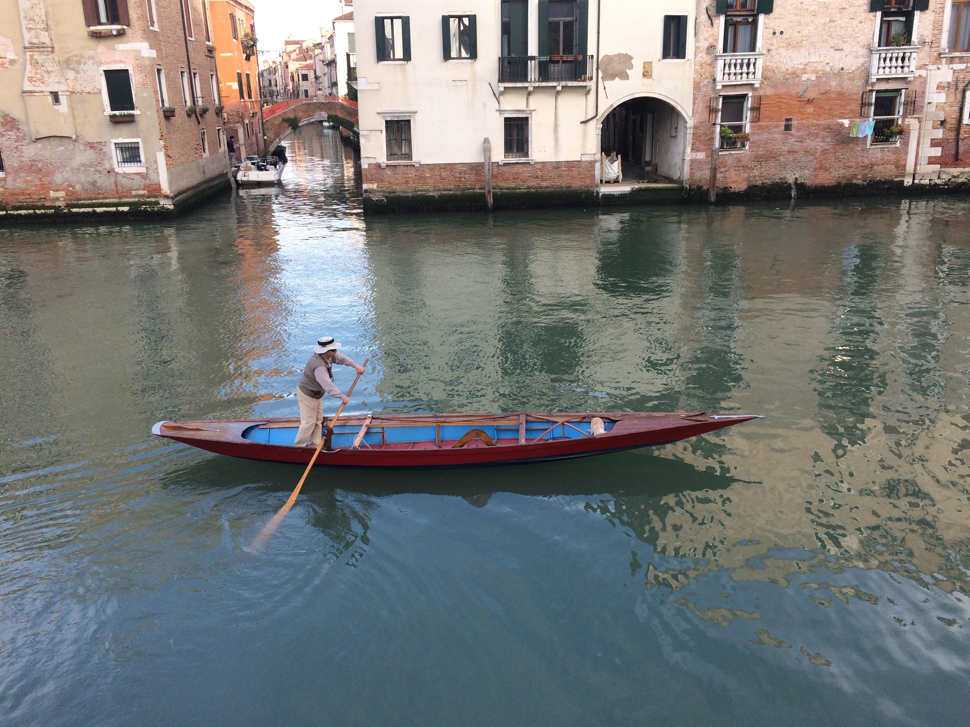 A solitary rower, in Venice, Italy. Photo: John Brunton