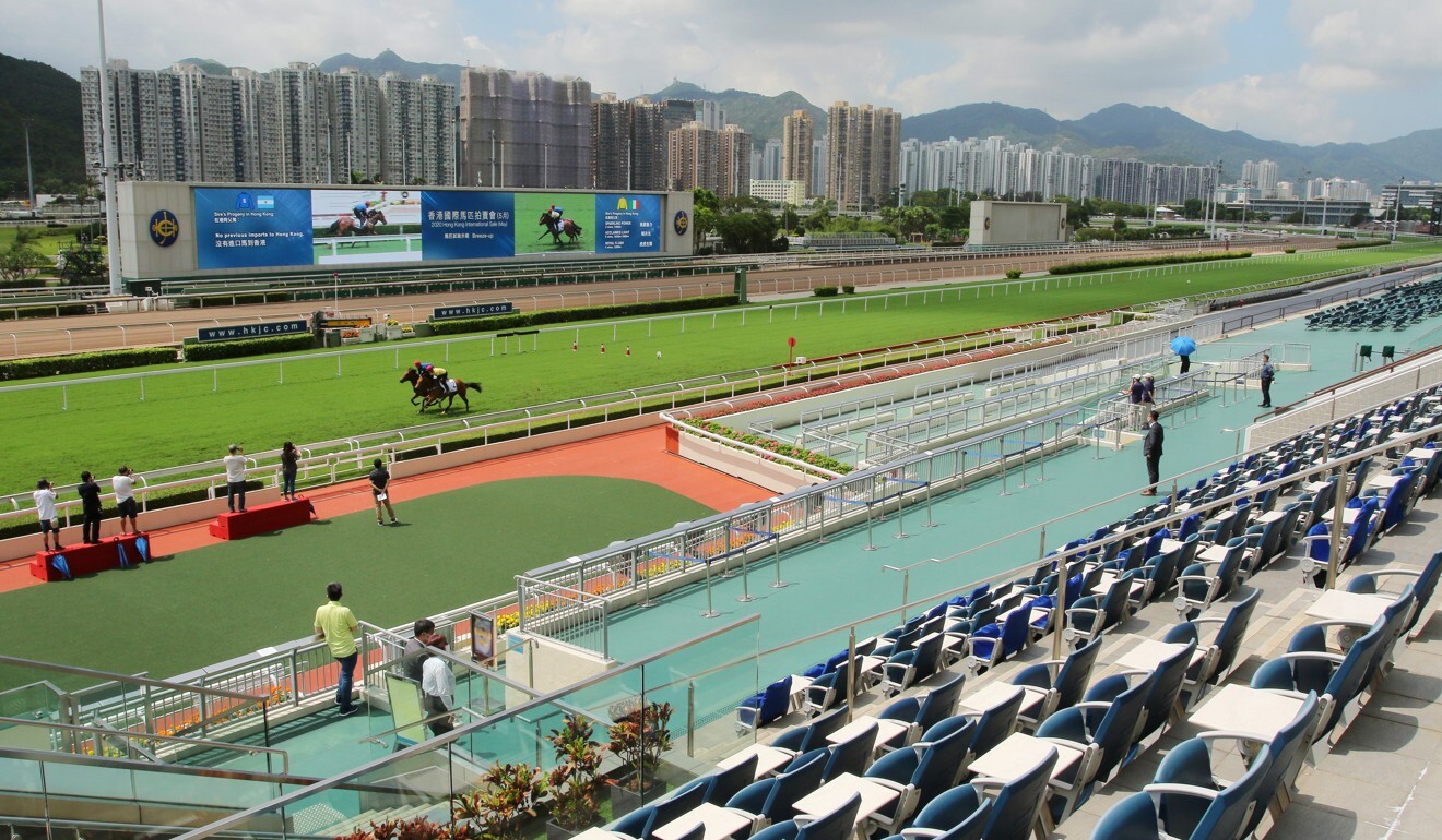 Horses breeze up ahead of Saturday’s Hong Kong International Sale.