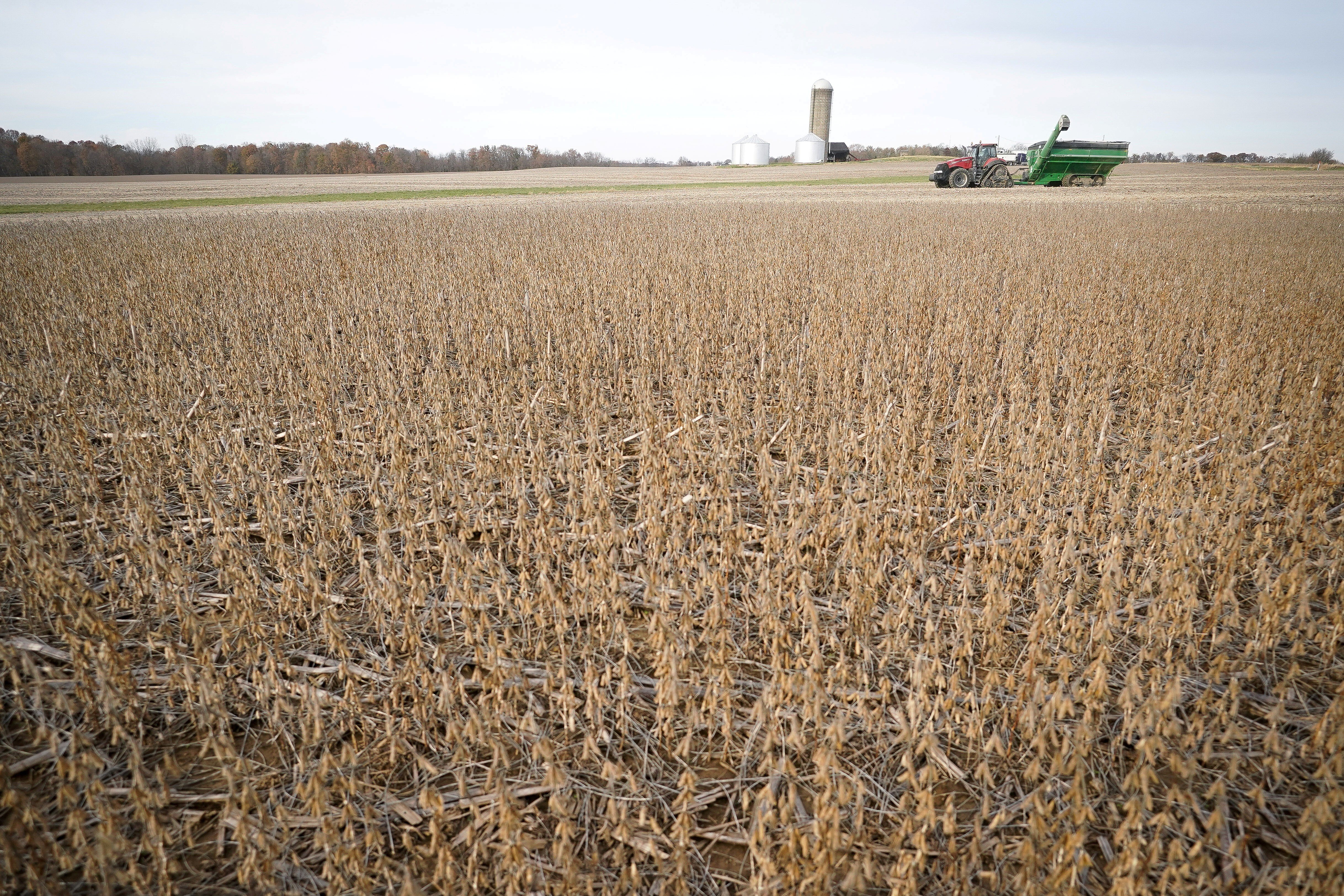 Soybeans are harvested from a field in Roachdale, Indiana, in November 8, 2019. Countries that dominate trade in key resources, such as iron ore, oil and soybeans, could stand to benefit handsomely in a world turning away from globalisation. Photo: Reuters