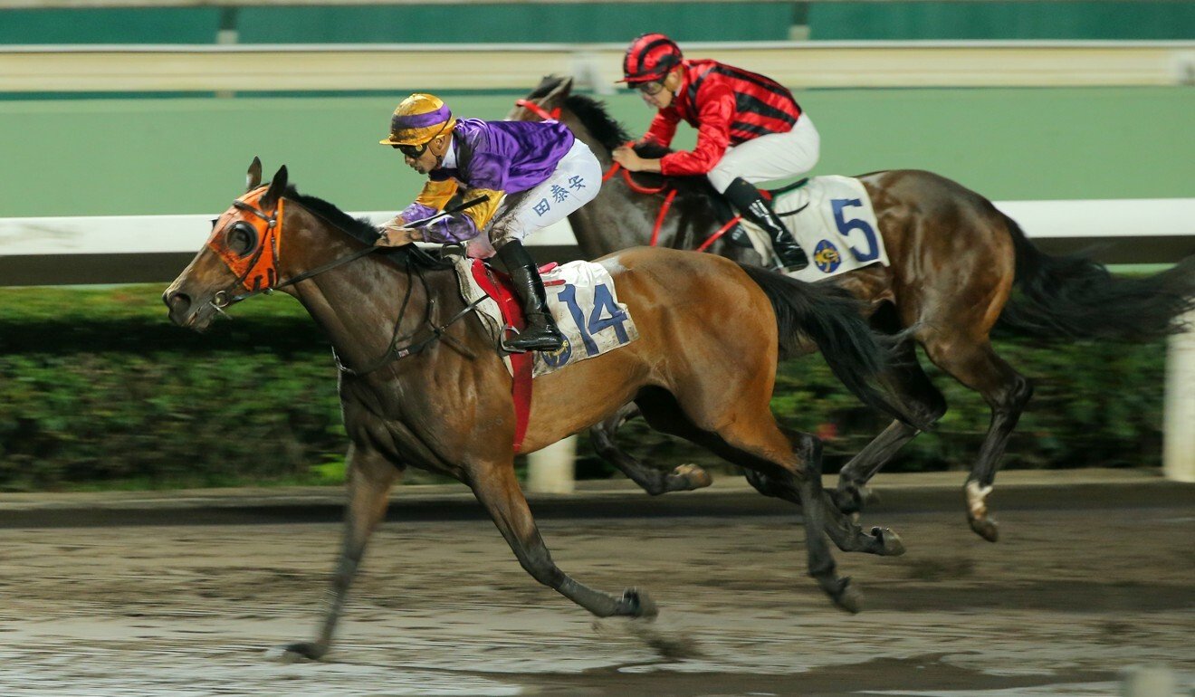 Mongolian King delivers the goods at Sha Tin last month.