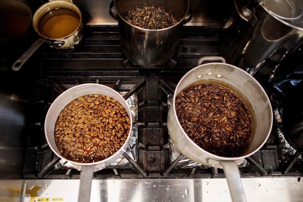 Japanese ramen with insects, from a chef who wants crickets