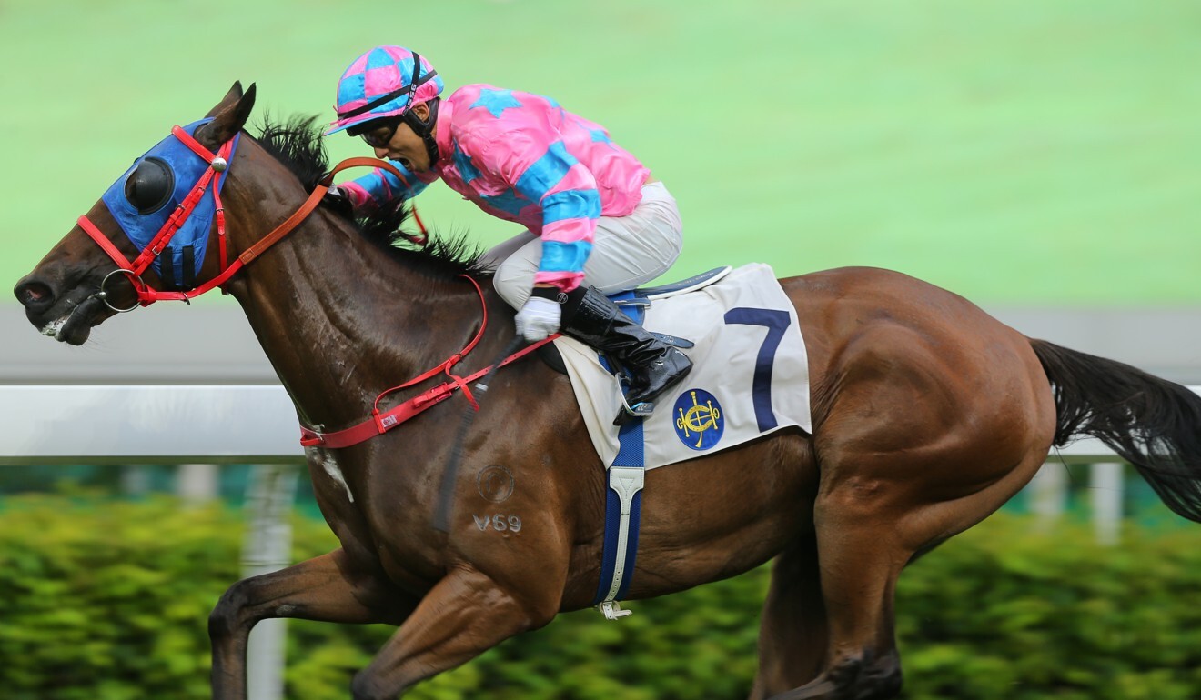 Alfred Chan drives Care Free Prince to victory.