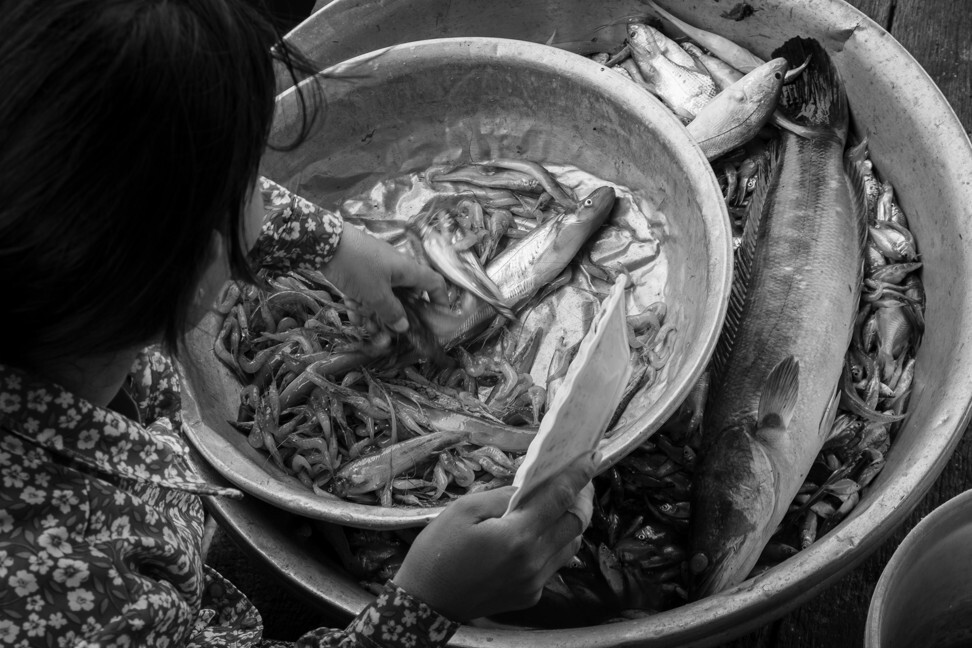 A woman sorts her catch while waiting at a TLC clinic. Tonlé Sap catches have fallen over the past decade due to overfishing, pollution and the construction of hydropower dams upstream, most notably in Laos and China, on the Mekong, which feeds the lake via its tributary, the Tonlé Sap River. Photo: Gary Jones