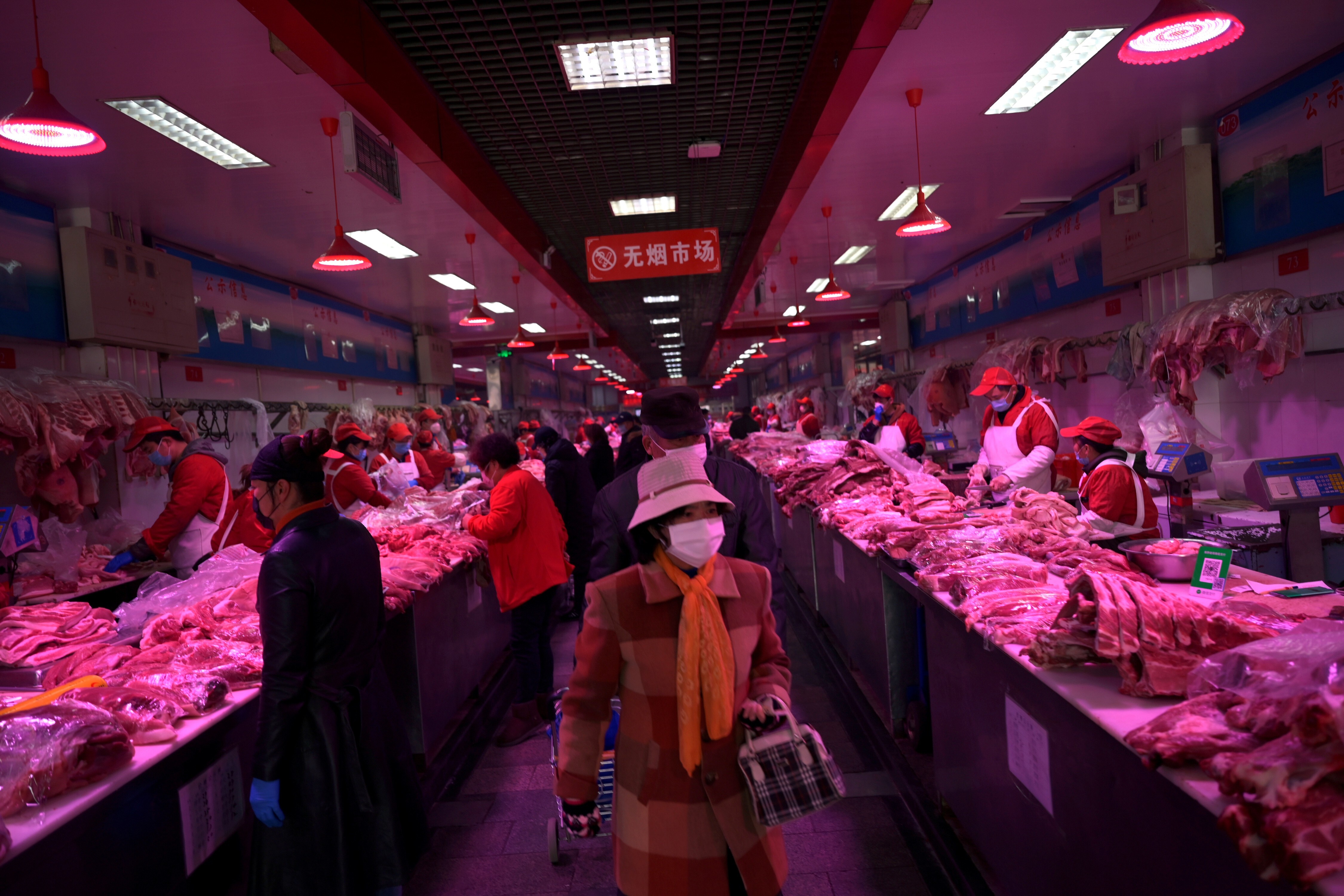 What does the future hold for wet markets?