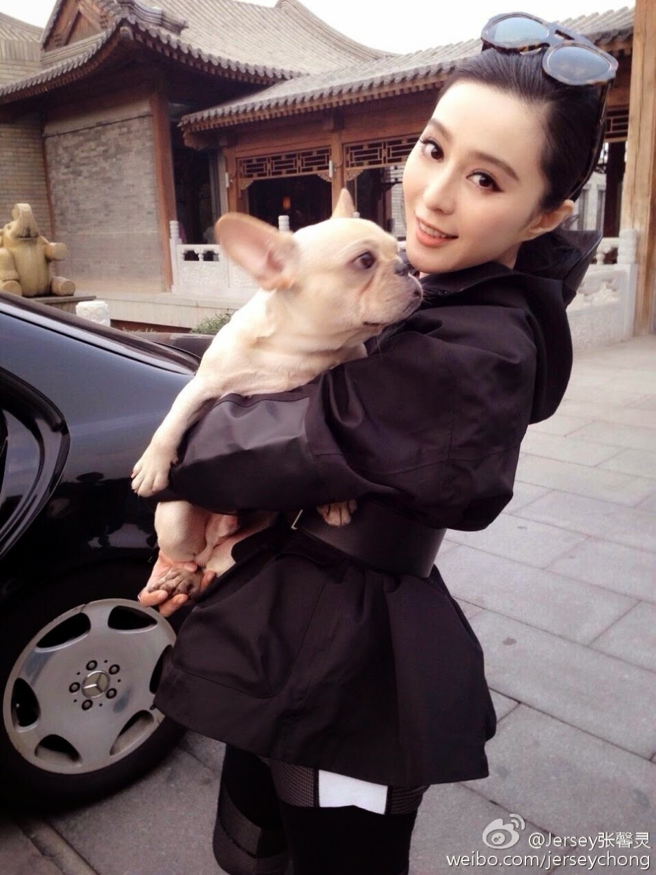 Fan Bingbing criticised the cruelty of slaughtering dogs to eat. Photo: @jerseychong/Weibo