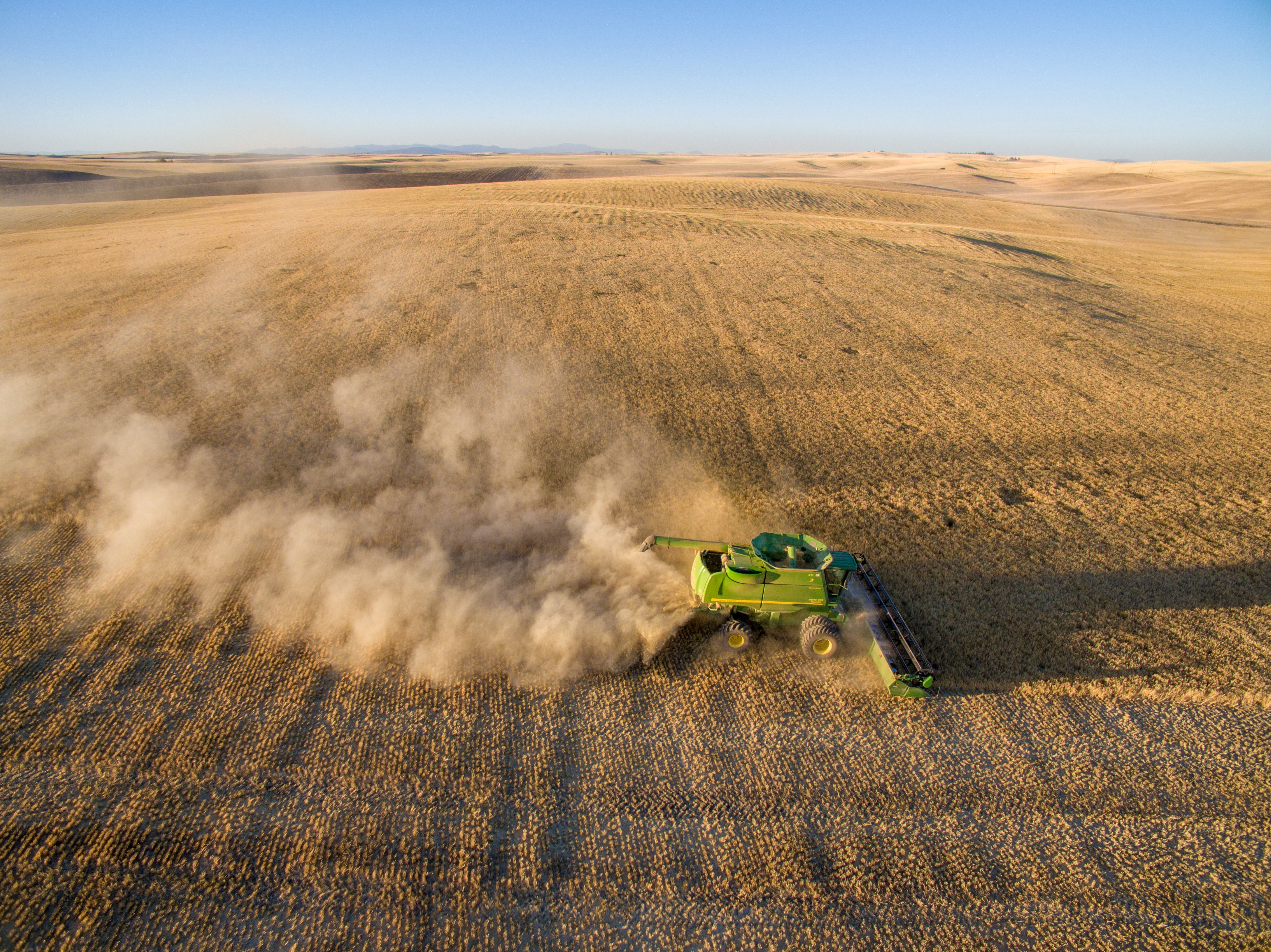 A barley harvest. China said its investigations had proven the dumping of cheap Australian barley had hurt its domestic market. Photo: Getty Images