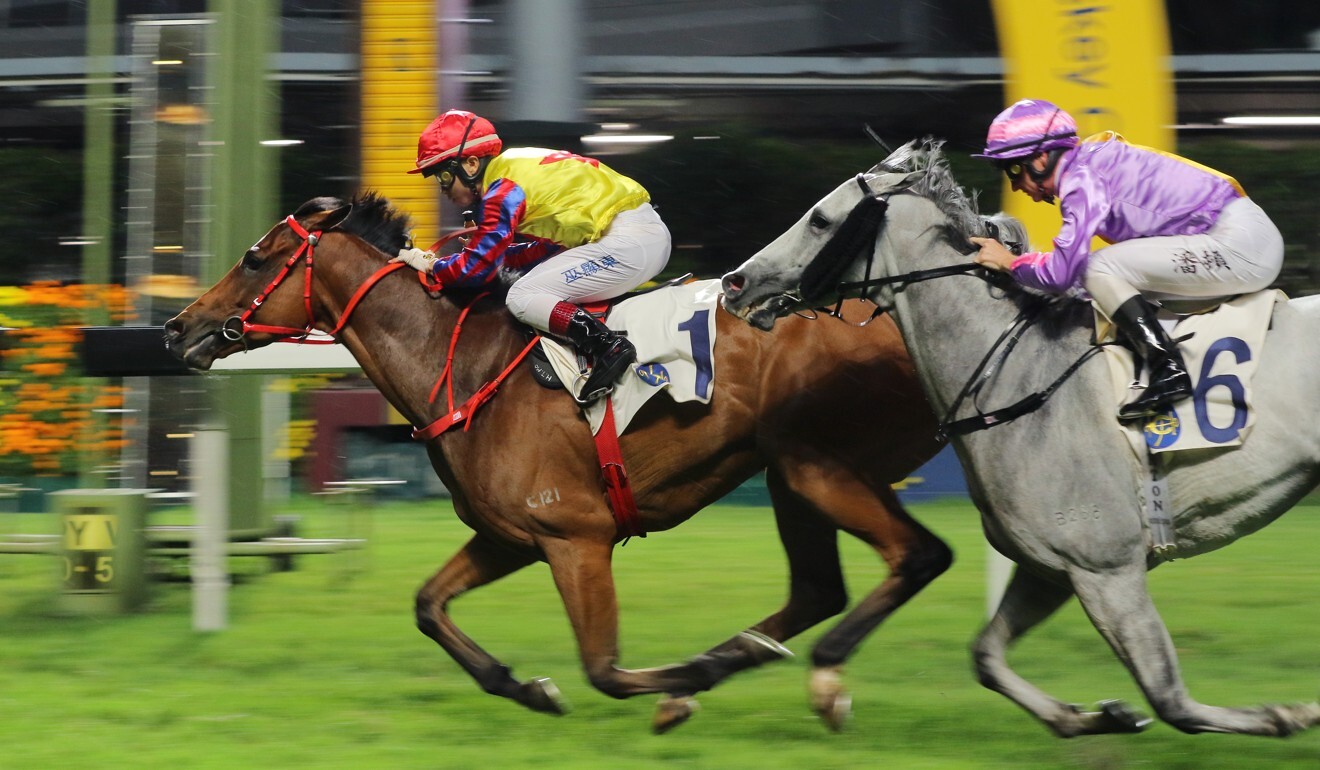 Magnificent salutes at Happy Valley in May.