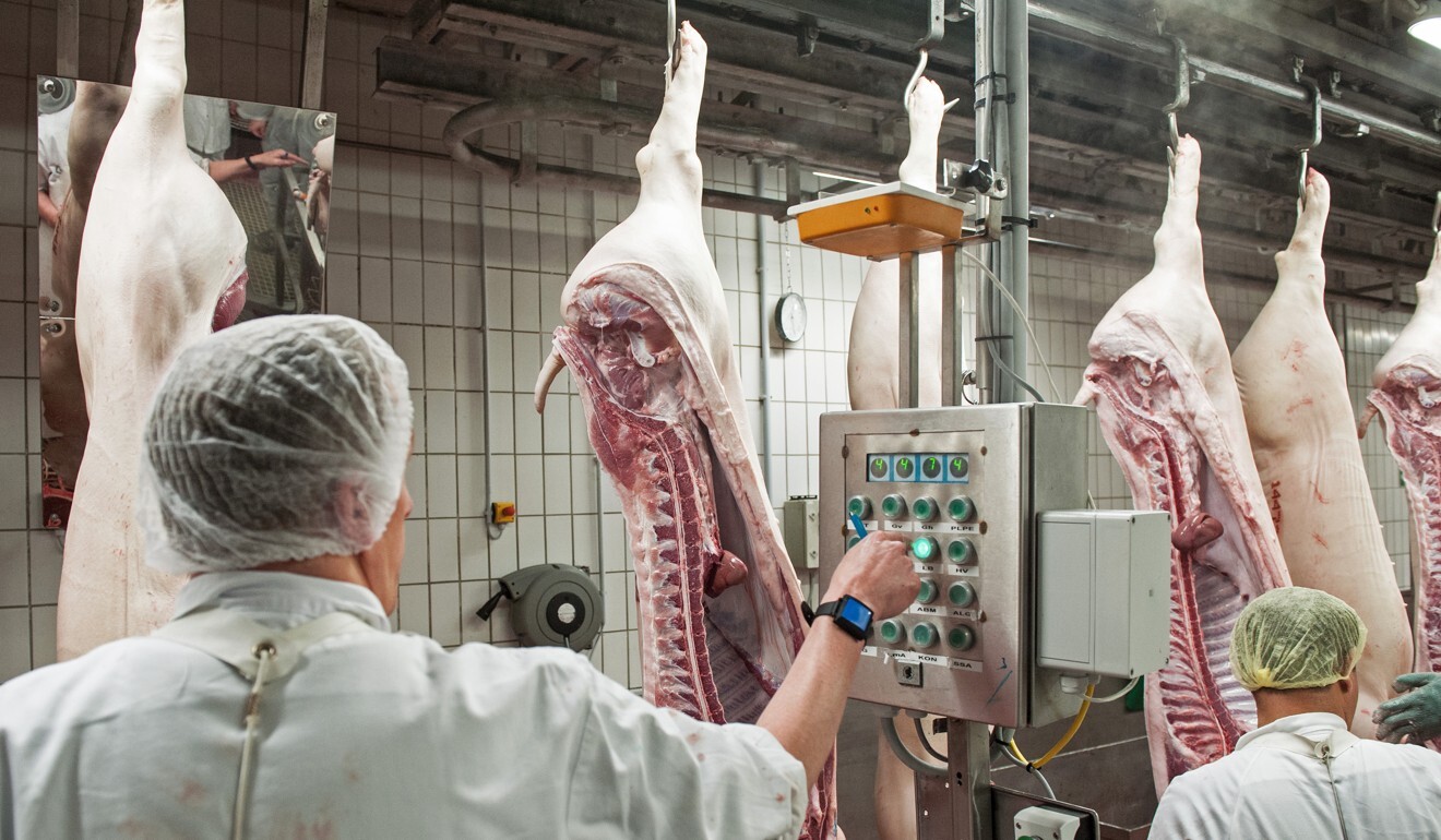 Workers process pig carcasses in a slaughterhouse in Germany in 2016. File photo: DPA