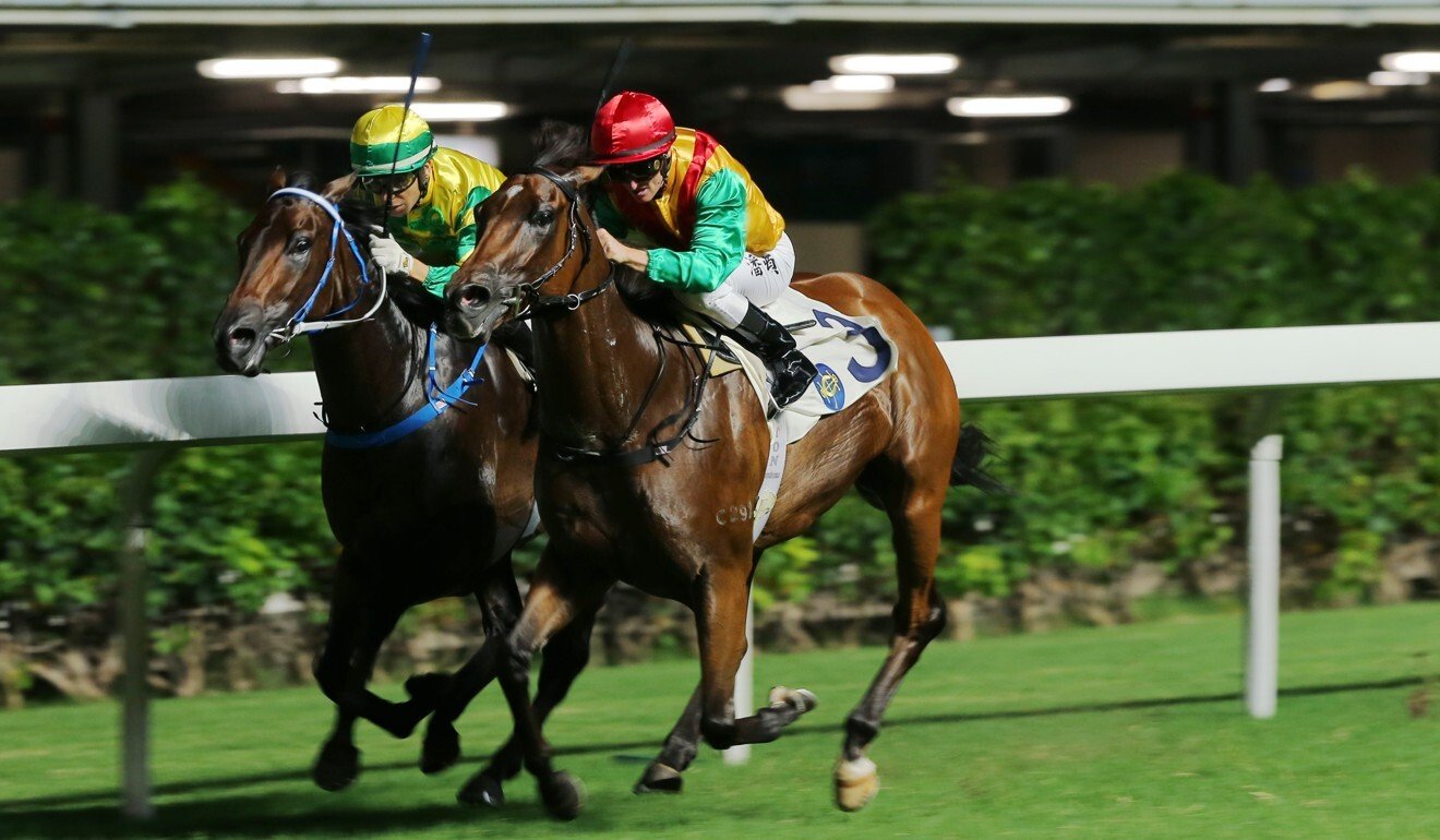 Highland Fortune (outside) defeats Sky Darci at Happy Valley on Wednesday night.