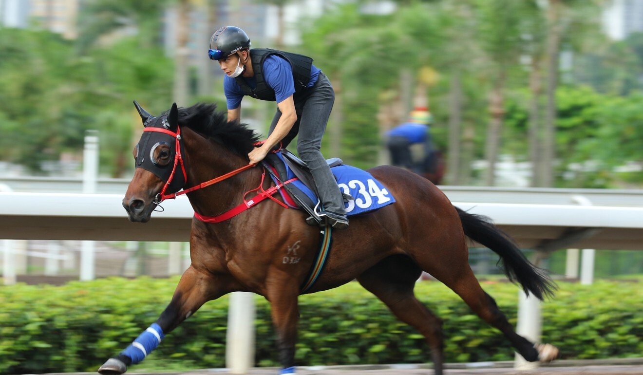 Rewarding Together works on the Sha Tin all-weather track.