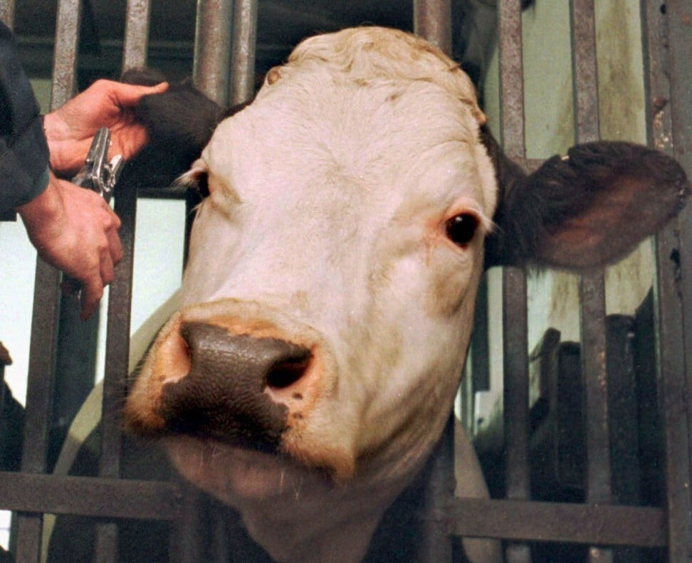 In the US, livestock is pumped with five times more antibiotics than is legal in the EU. Photo: Reuters