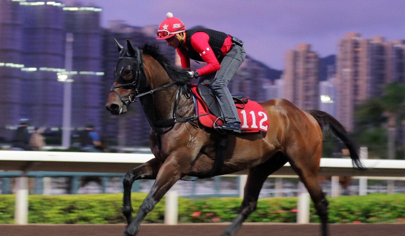 Douglas Whyte works Easy Go Easy Win on the all-weather track on Monday morning at Sha Tin.