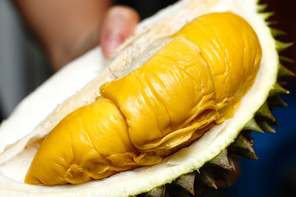 Durian polarises opinion due to its strong taste and smell but is popular in Southeast Asia. Photo: Handout