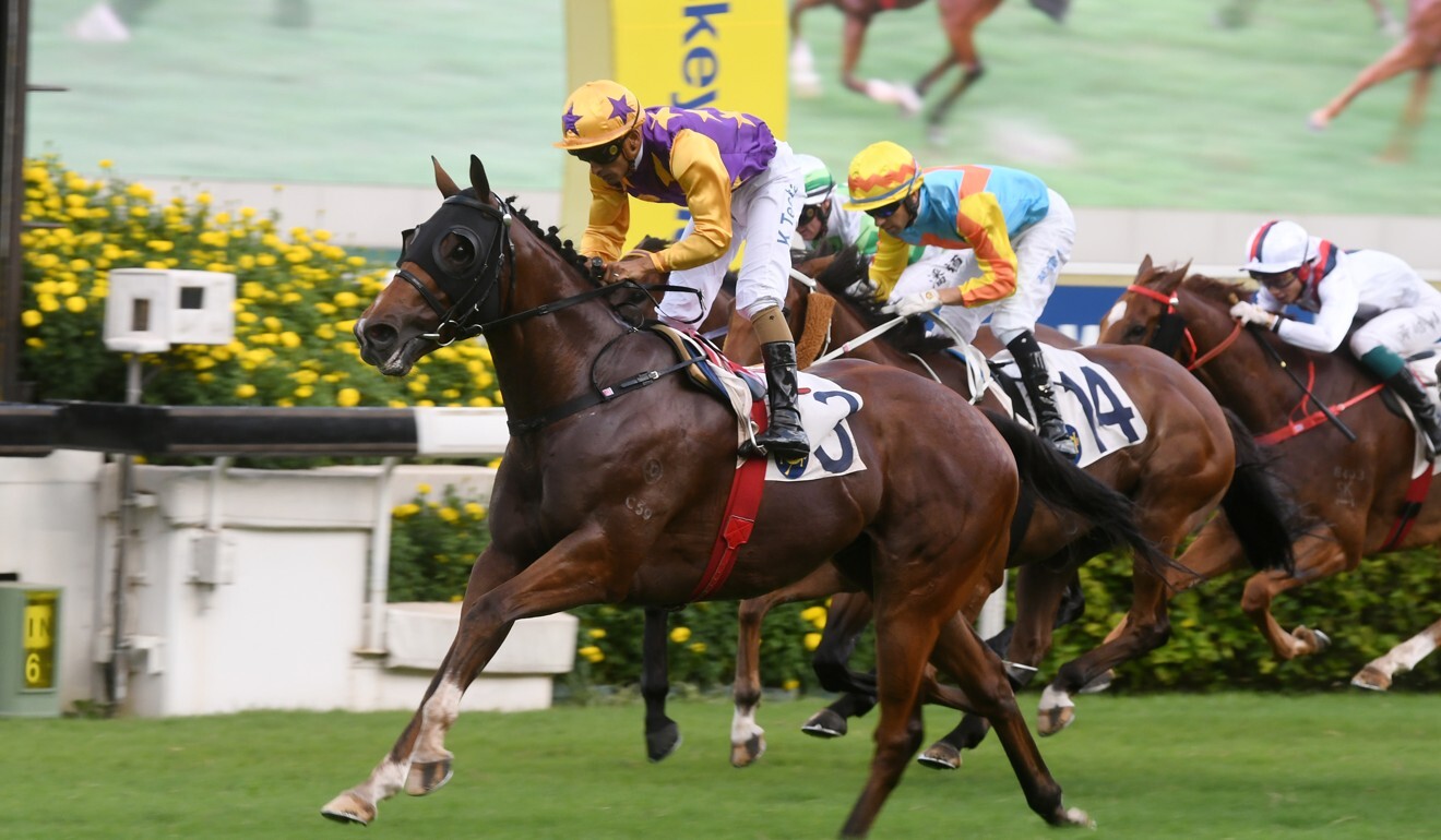 Amazing Chocolate wins at Sha Tin under jockey Karis Teetan.