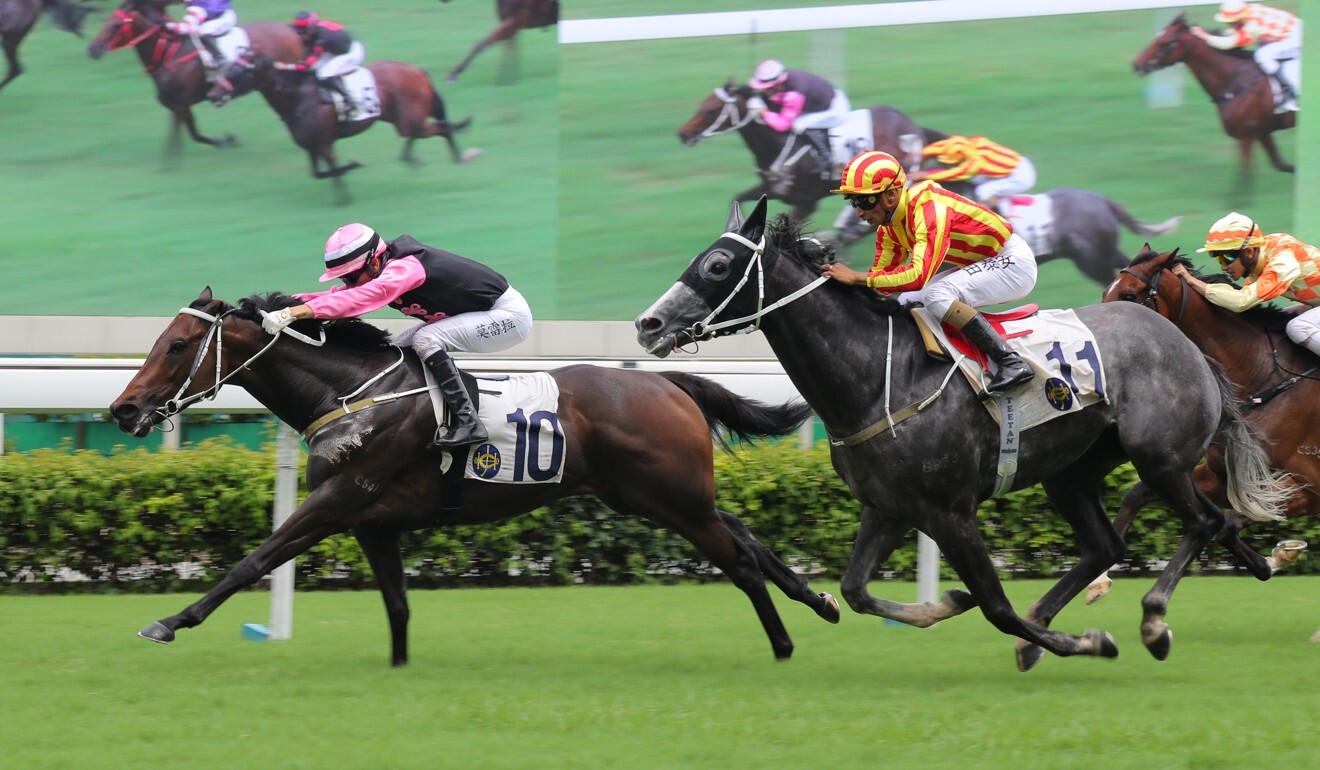 Circuit Number One runs second at Sha Tin earlier this month.