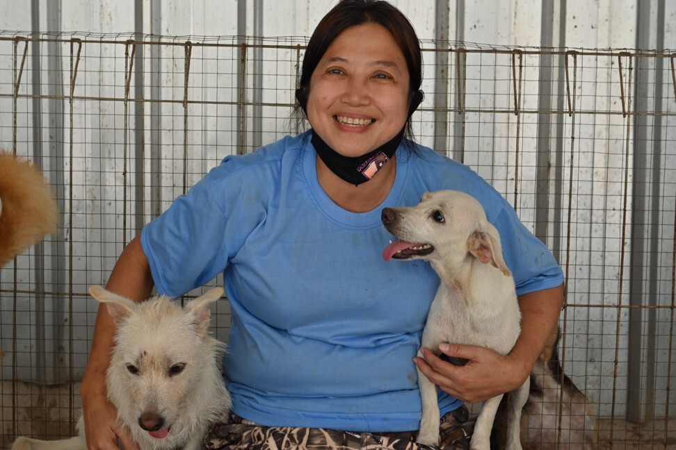 Indonesian doctor Susana Somali holds a couple of dogs at her rescue shelter in Jakarta. Photo: AFP
