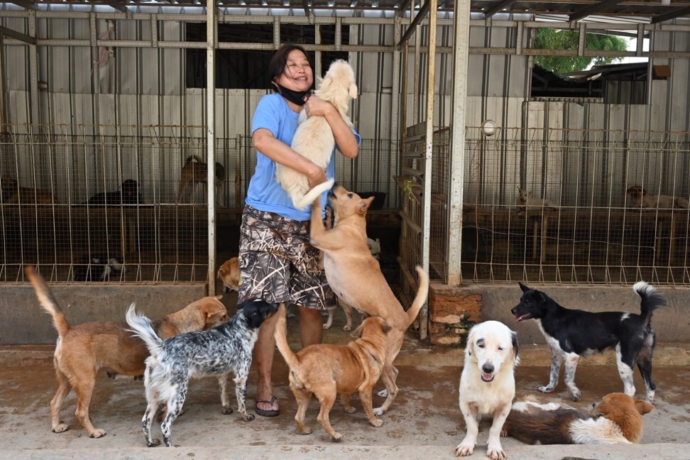 Indonesian doctor Susana Somali’s shelter is home to some 1,400 rescued dogs. Photo: AFP