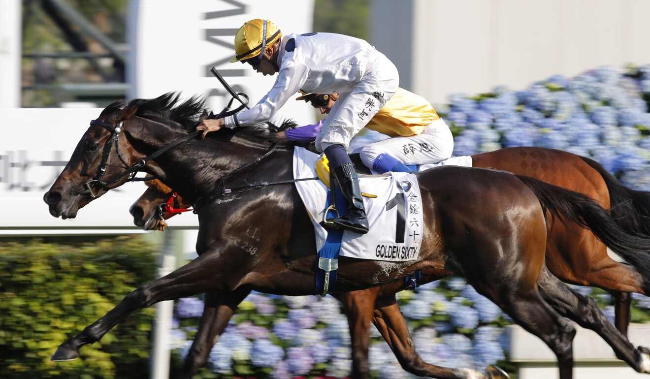 Golden Sixty wins the Hong Kong Derby. Photo: Kenneth Chan