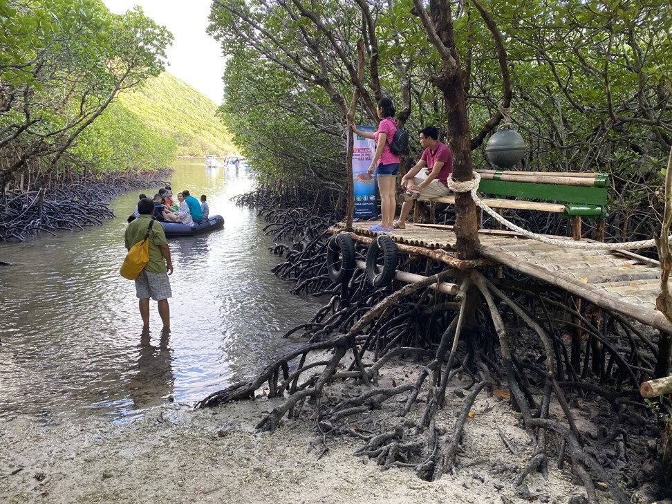 Landing amid mangroves on Bay Canh islet. Photo: Patrick Scott