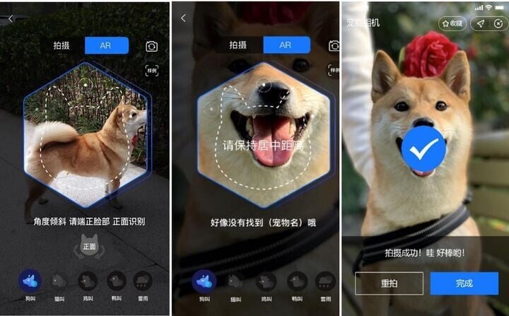 Alipay’s AI algorithm provides instructions that guide users through taking a photos of their pets to enrol them into its pet insurance program. Picture: Handout