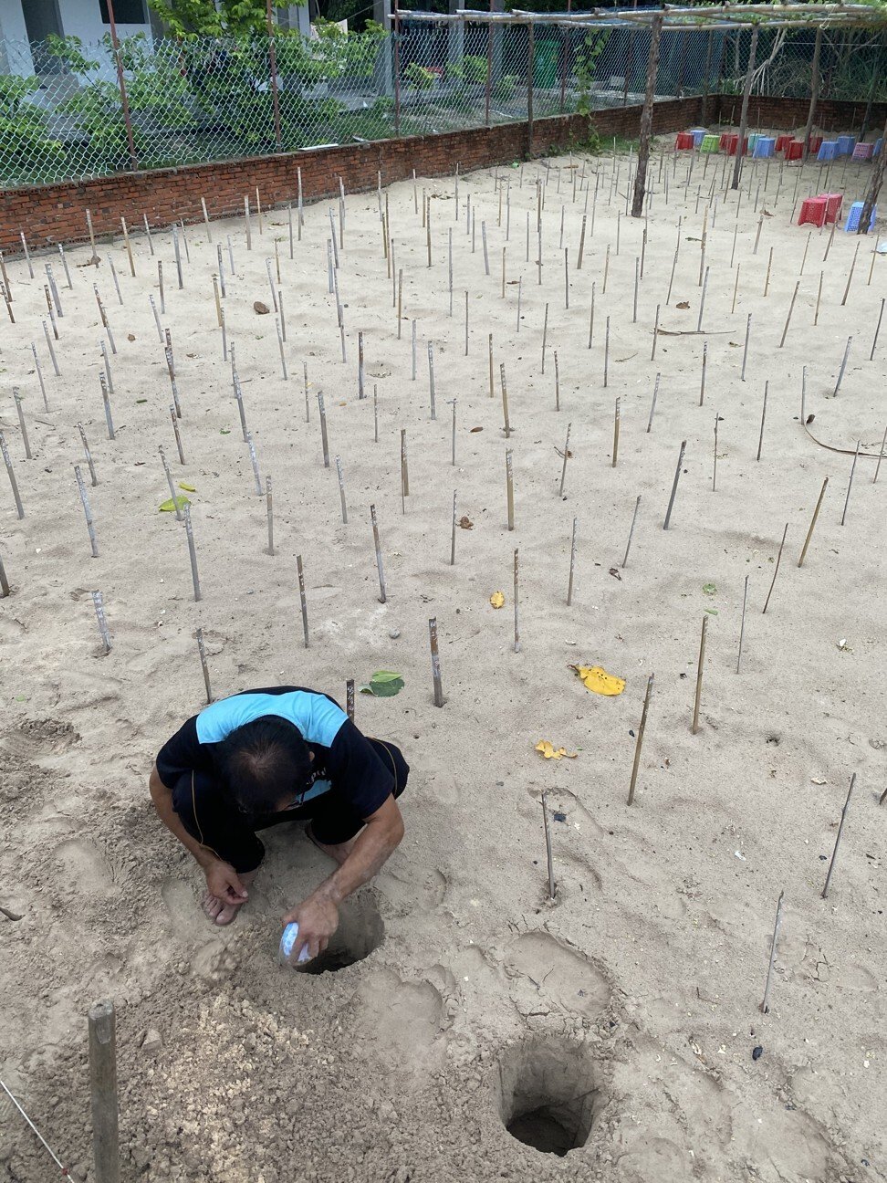 A national park worker prepares a hole for turtle eggs in the incubation ground. Photo: Patrick Scott
