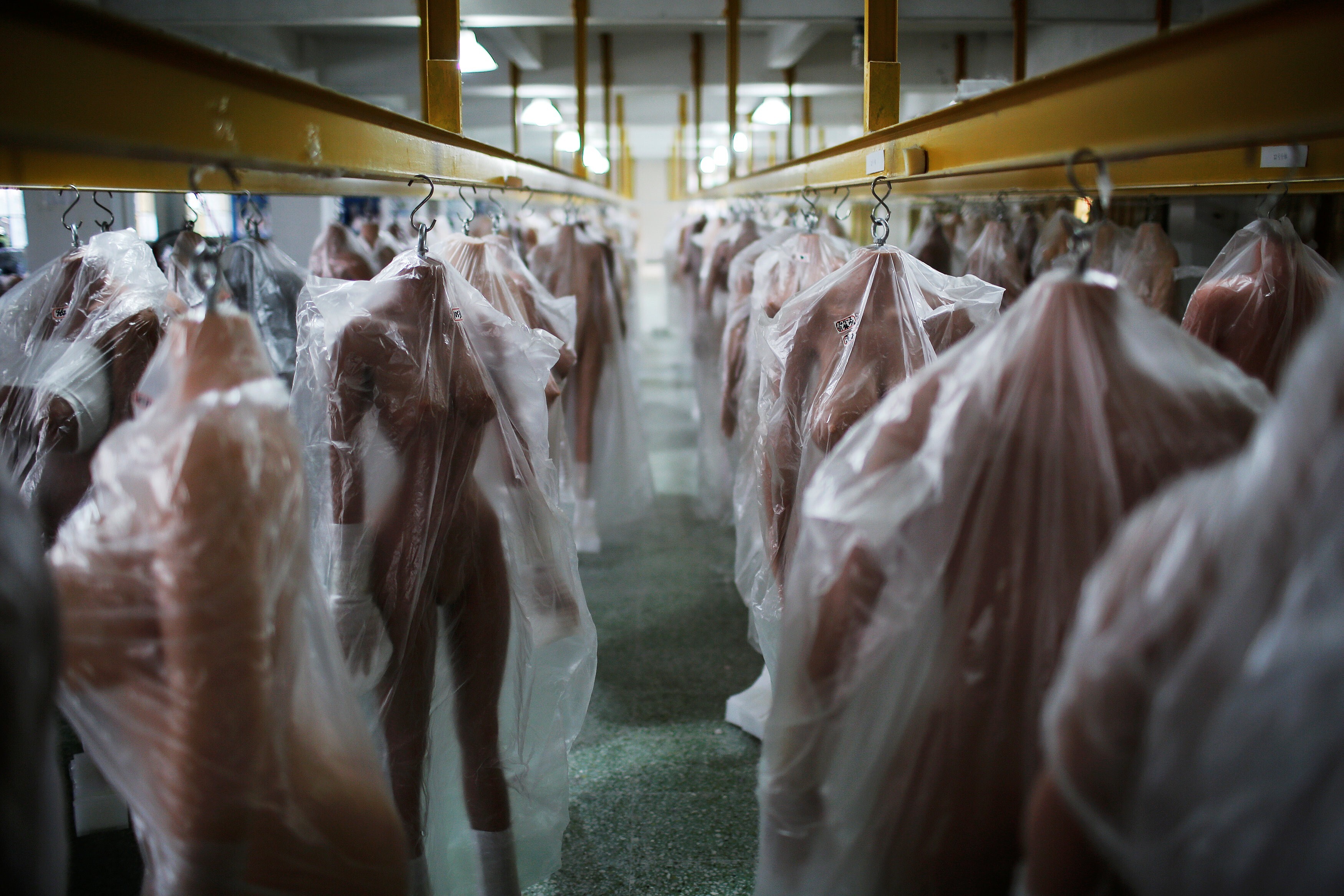 China's sex toy makers in growth spurt, as coronavirus lockdowns fuel  global appetite | South China Morning Post