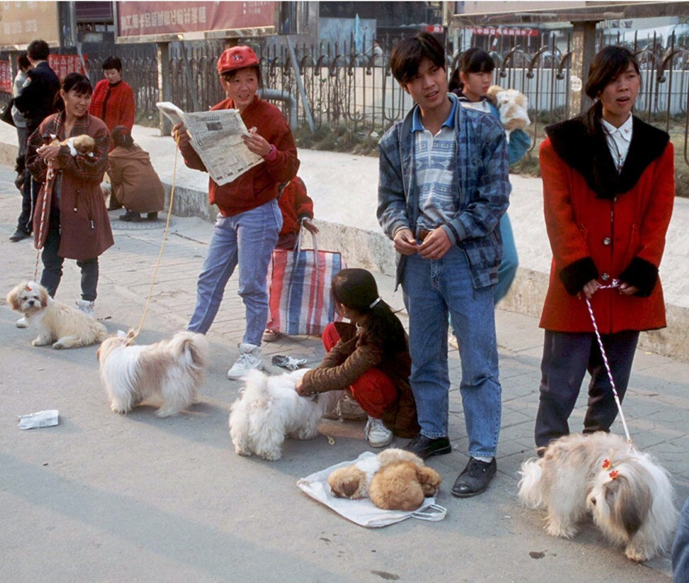 Chinese hawkers sell pedigree dogs on the streets of Shenzhen in 1996. Photo: Reuters