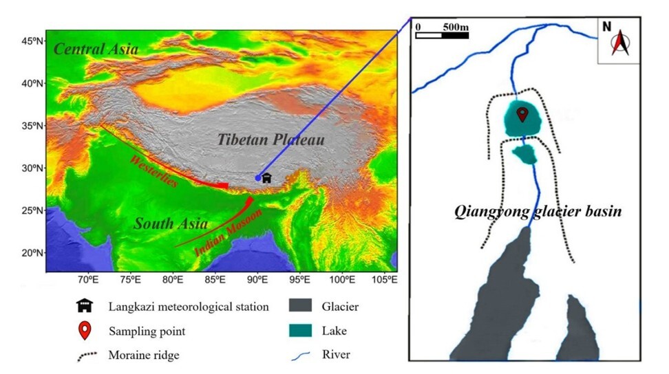 The samples were collected from Qiangyong lake in southern Tibet. Graphic: Wang Xiaoping