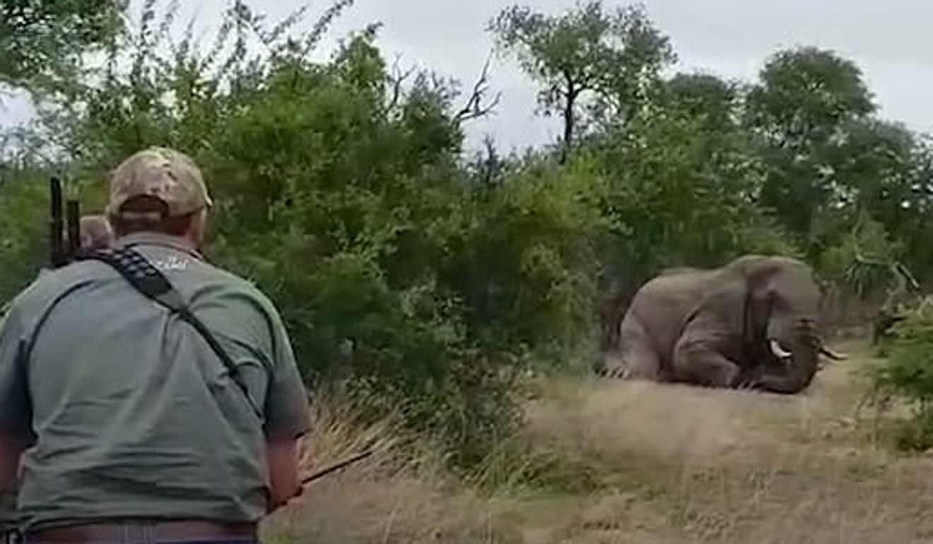 American hunter Aaron Raby now Peta target after elephant’s prolonged ...