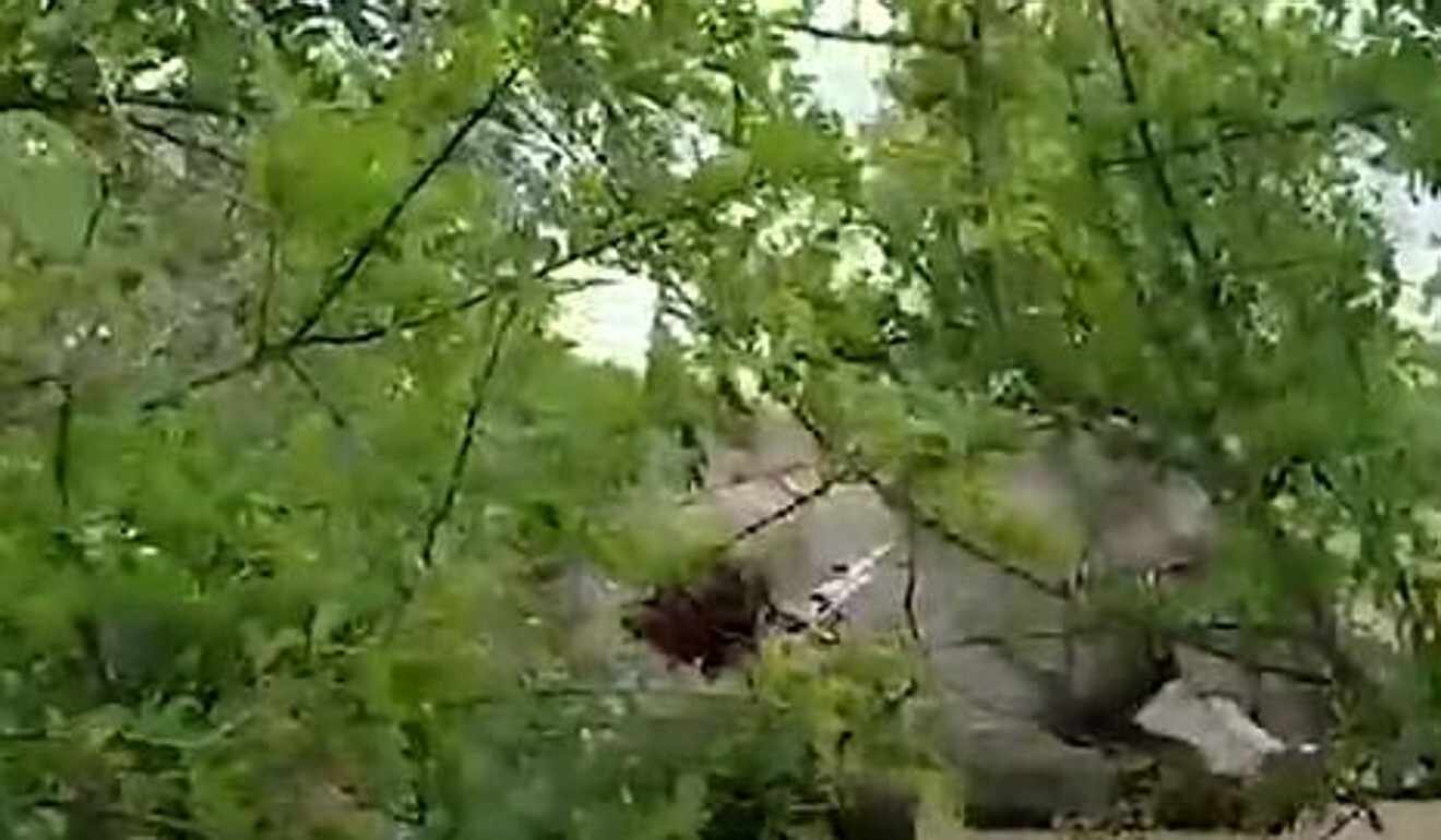 American hunter Aaron Raby now Peta target after elephant’s prolonged ...