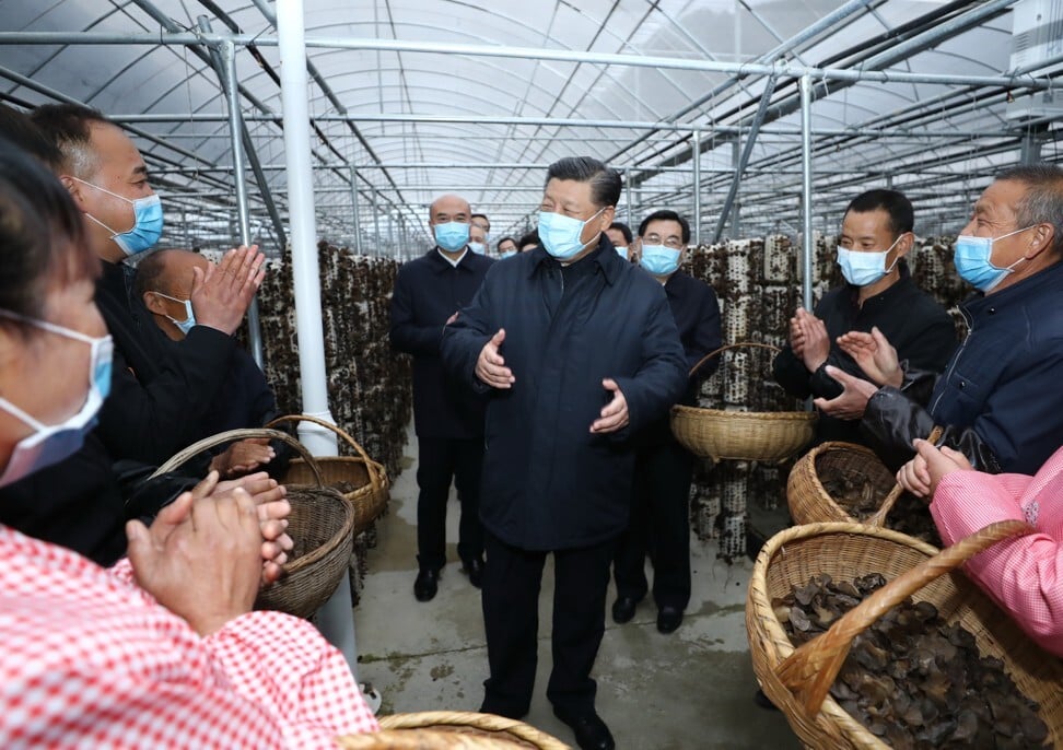 President Xi Jinping says China must grow its domestic market to offset external economic challenges. Photo: Xinhua