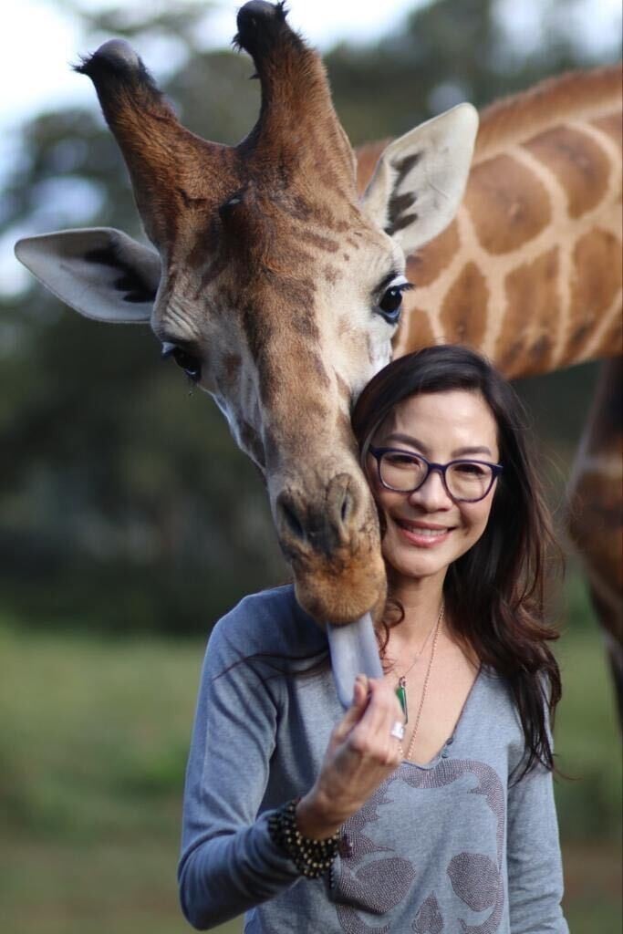 Malaysia’s Michelle Yeoh, martial arts expert and star of Crazy Rich Asians, Memoir of a Geisha and Crouching Tiger, Hidden Dragon, works on behalf of many global charities. Photo: Kit Wong