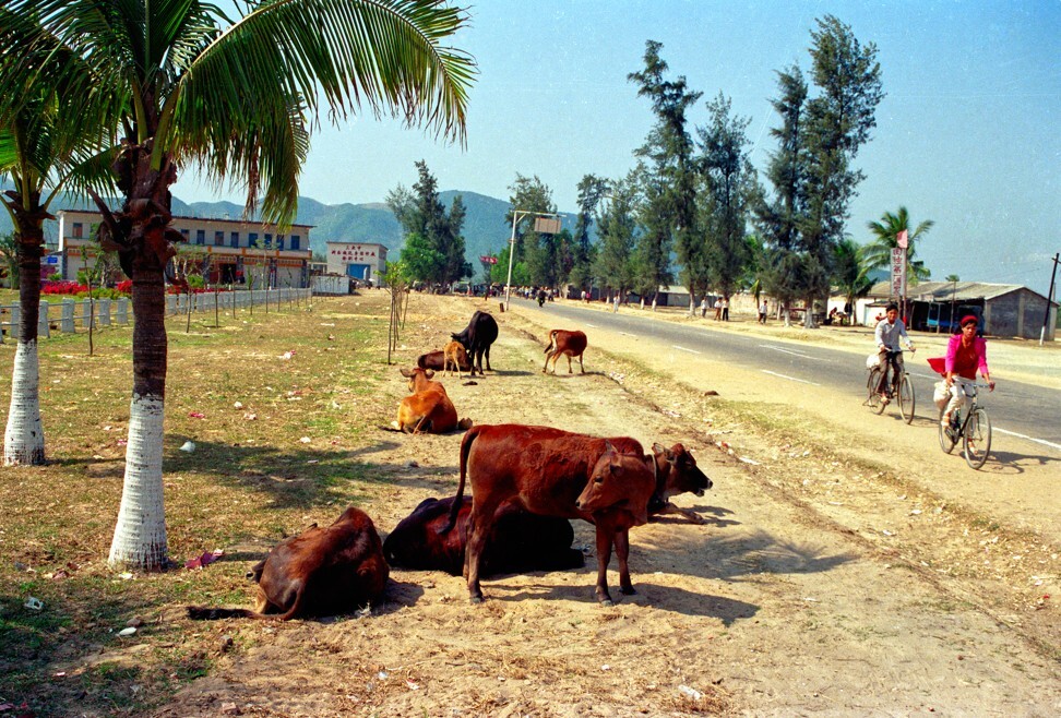 The road to Yalong Bay, in Sanya, in 1993, long before it became an international tourist resort. Photo: Bruce Connolly