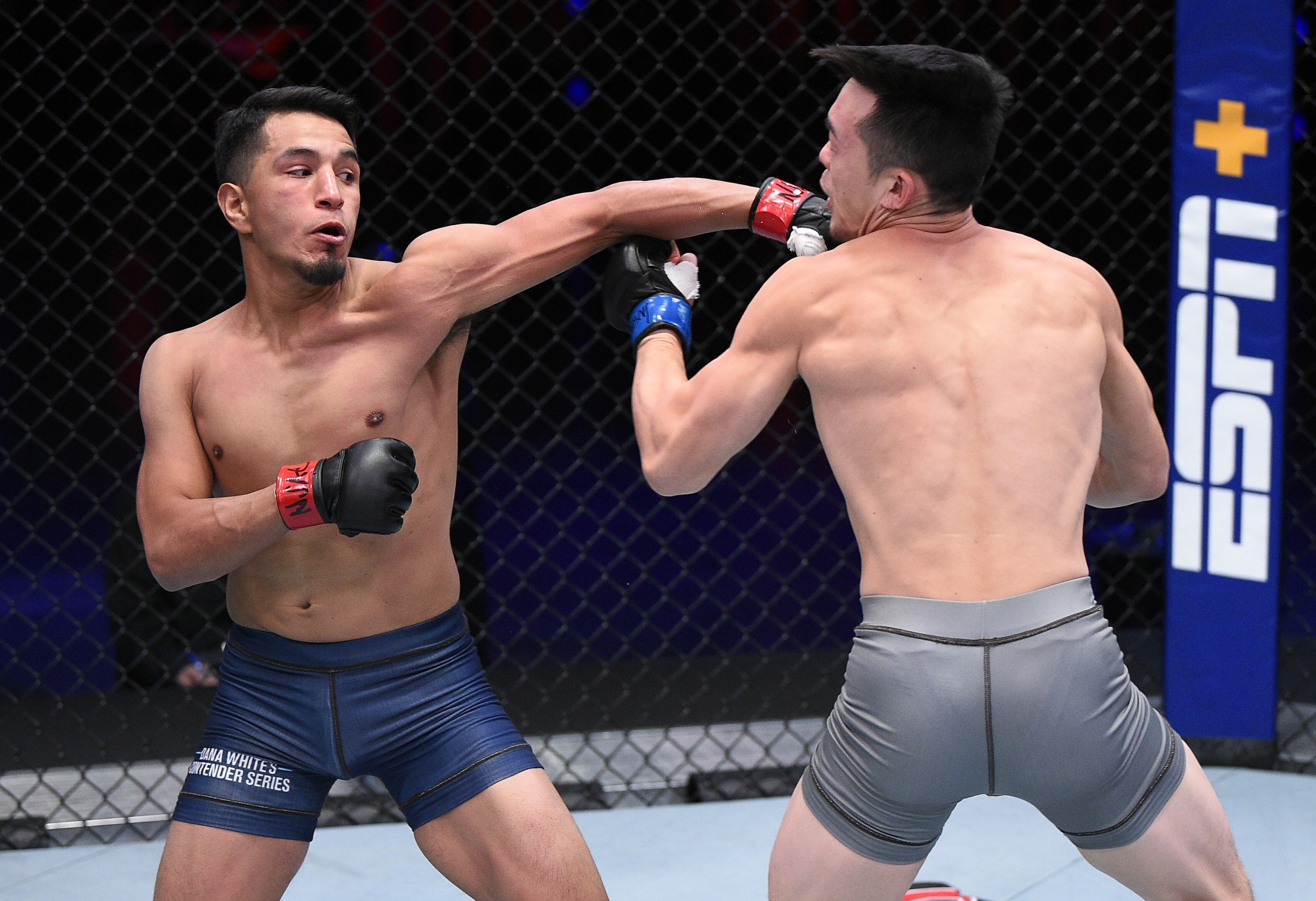 Adrian Yanez punches Brady Huang in a bantamweight fight during week two of ‘Dana White’s Contender Series’ season four at UFC Apex in Las Vegas, Nevada. Photos: Chris Unger/DWCS LLC/Zuffa LLC