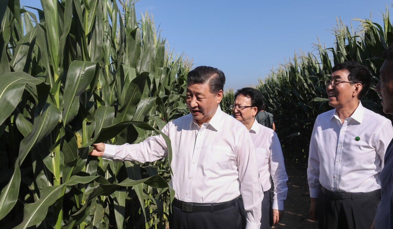 Chinese President Xi Jinping visits a demonstration zone for green food production in China's Jilin Province, July 22, 2020. Photo: Xinhua Chinese President Xi Jinping visits a demonstration zone for green food production in China's Jilin Province, July 22, 2020. Photo: Xinhua