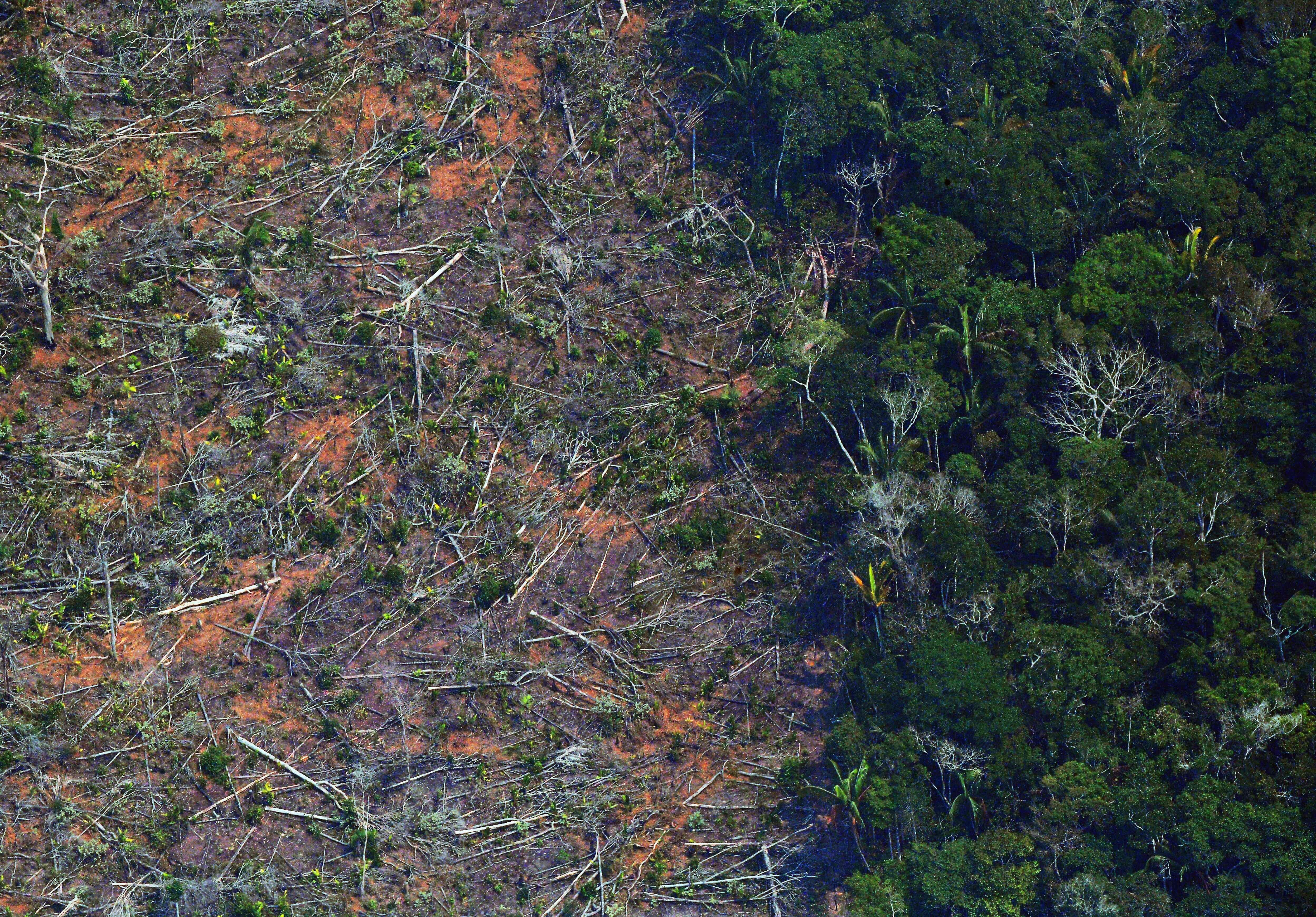 An aerial view of a deforested piece of land in the Amazon rainforest near Porto Velho in Rondonia, northern Brazil, on August 23, 2019. Unlike other jurisdictions, Hong Kong’s banks are not required to make public whether the projects or companies they finance are linked to environmentally damaging practices. Photo: AFP