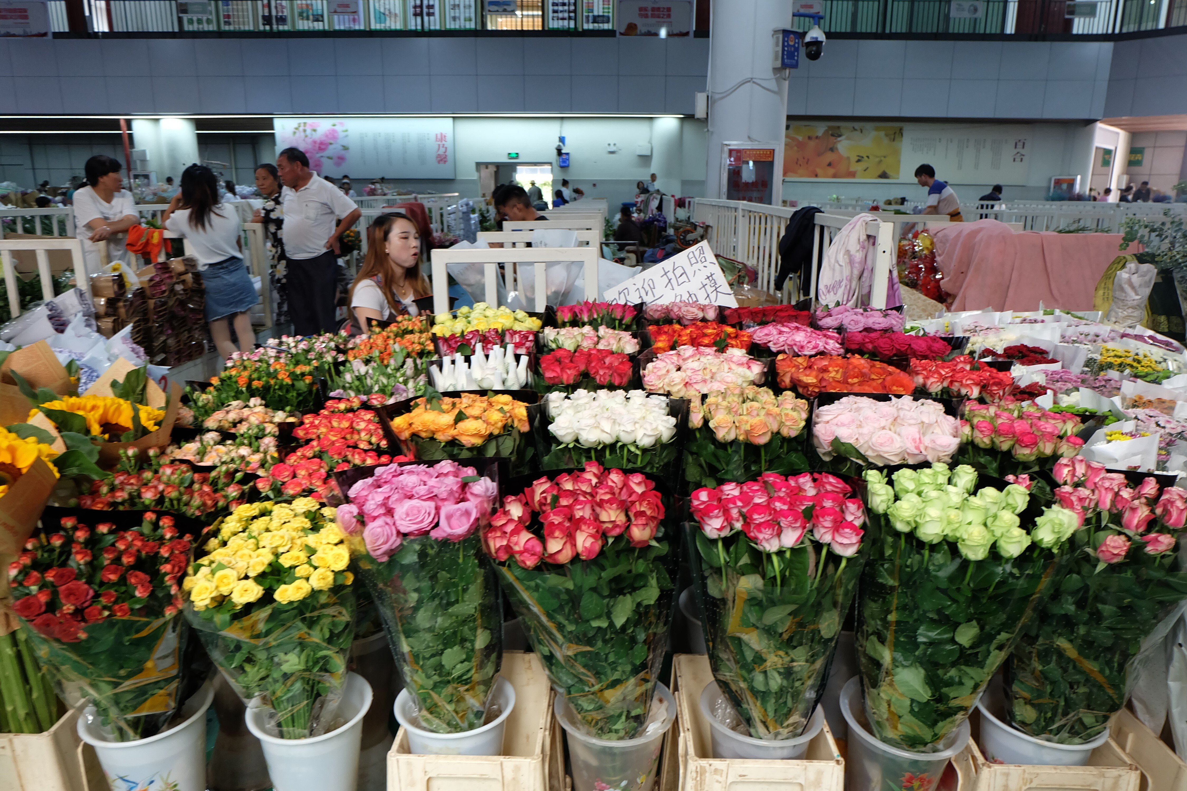 Hope blooms for China's flower trade as rose prices soar to meet demand |  South China Morning Post