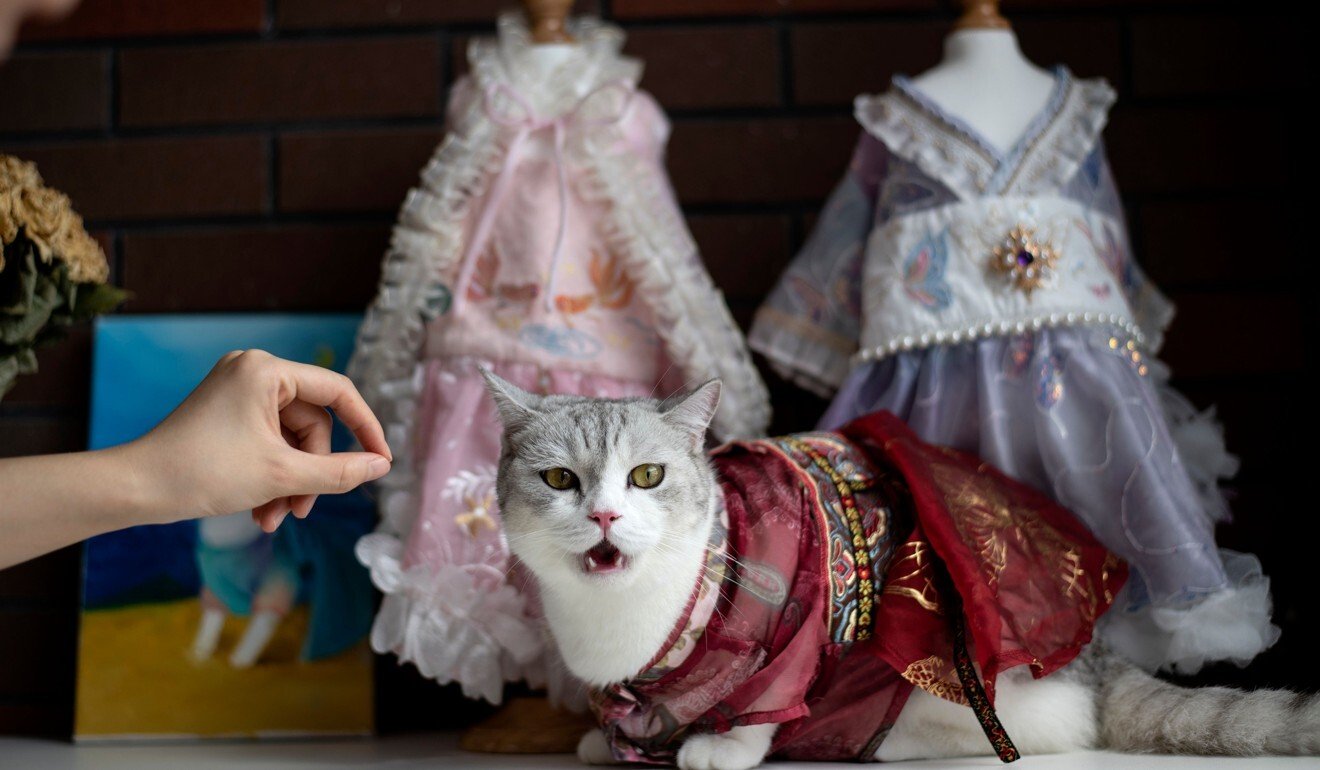 Liu Liu wears a Hanfu gown in Changsha, Hunan province. Photo: Noel Celis/AFP