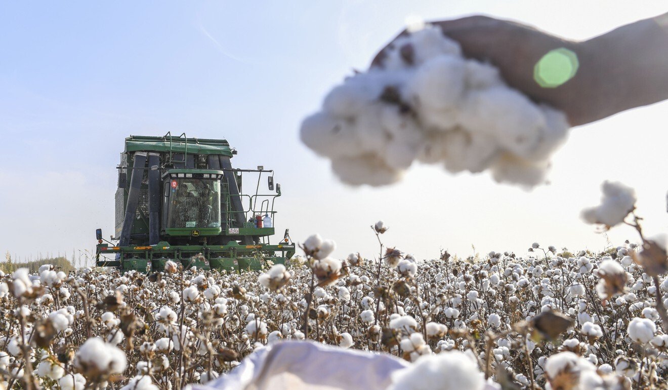 Xinjiang dominates China’s cotton production and XPCC produced about 2 million tonnes of it in 2018. Photo: Xinhua