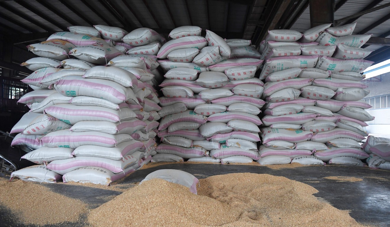 Soybeans are used as a key source of protein in animal feed in China. Photo: AFP