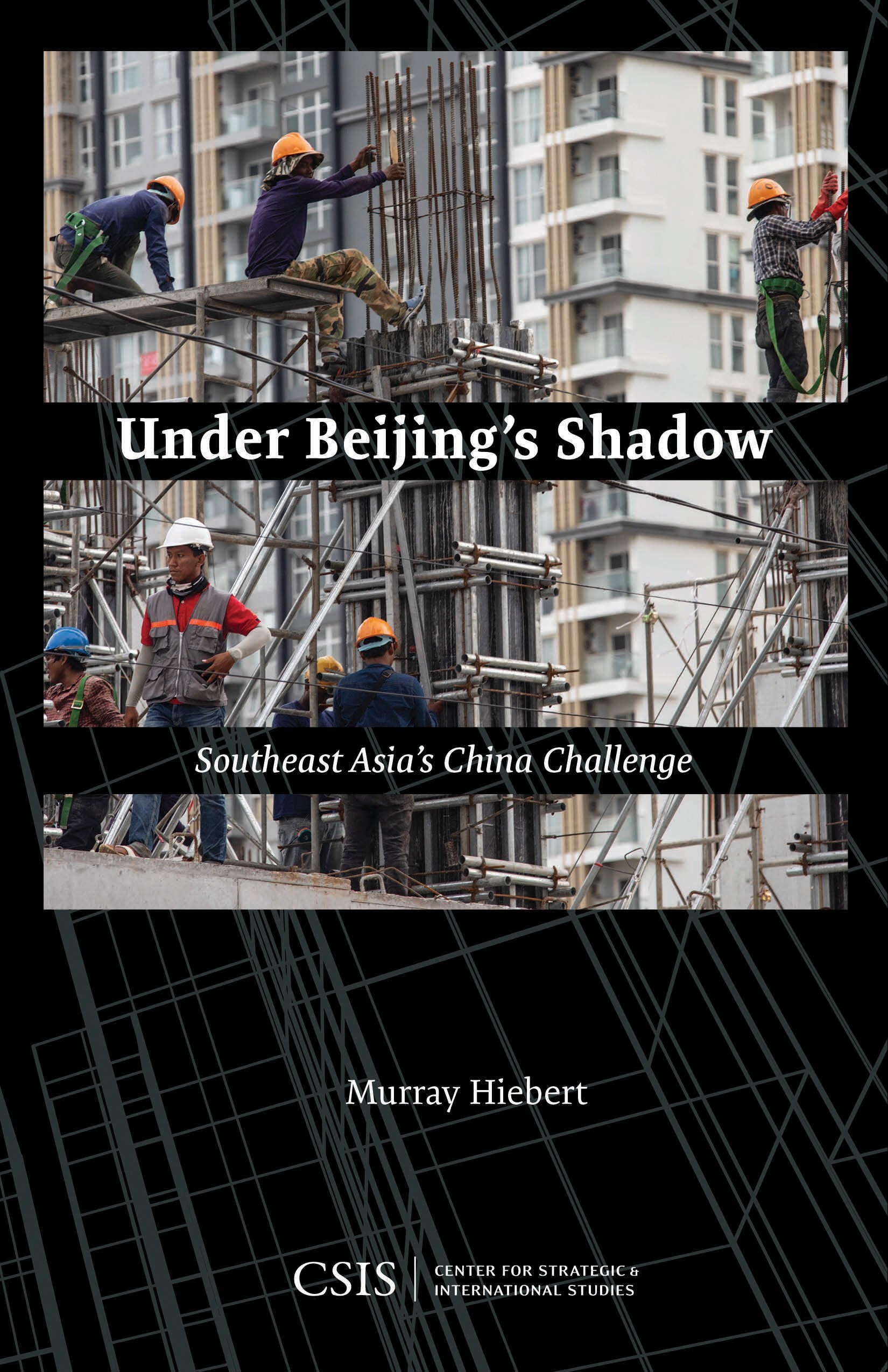 Under Beijing's Shadow: Southeast Asia's China Challenge, by Murray Hiebert.