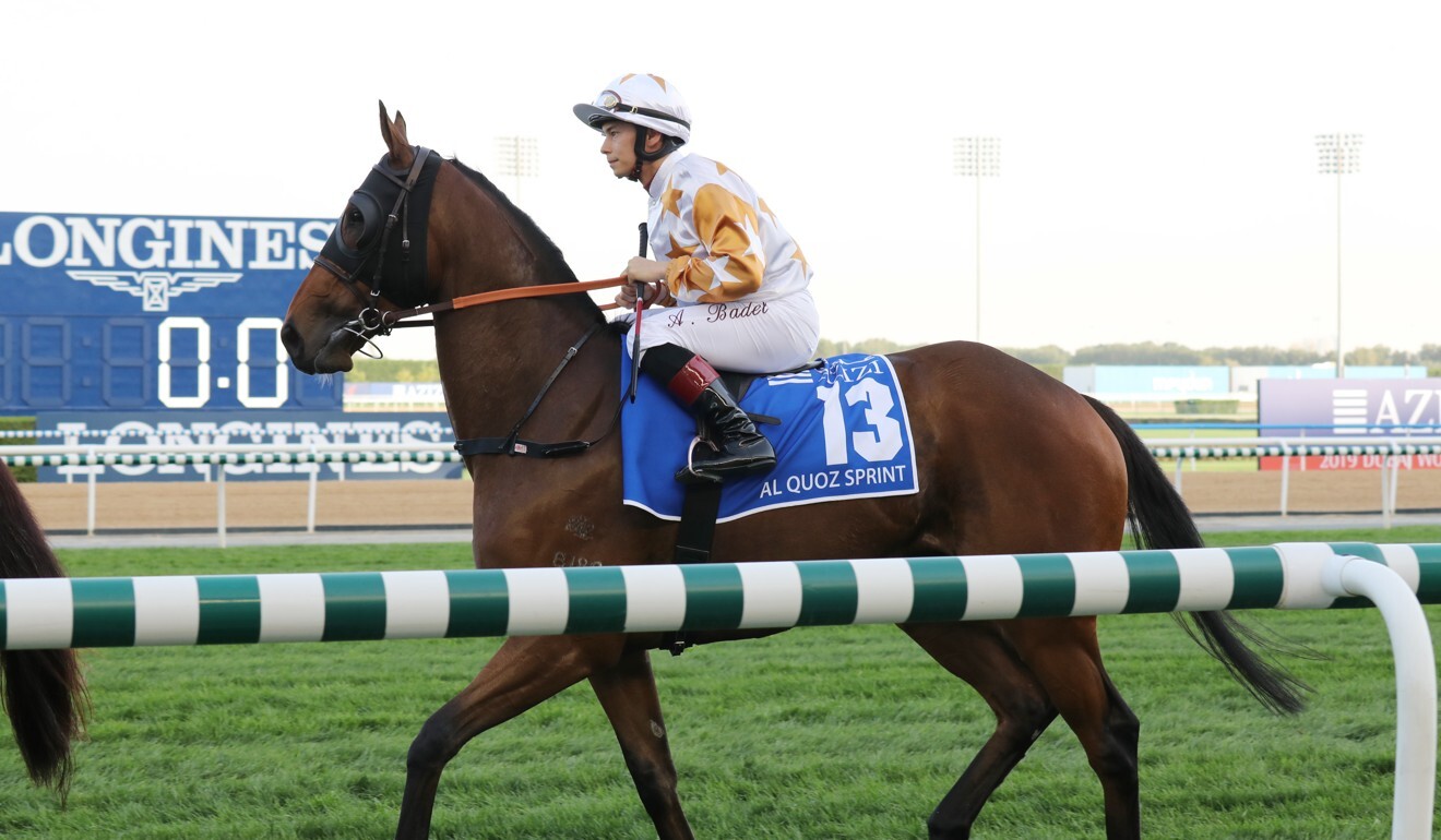 Wishful Thinker on the Meydan racetrack in Dubai after the Group One Al Quoz Sprint in 2019.