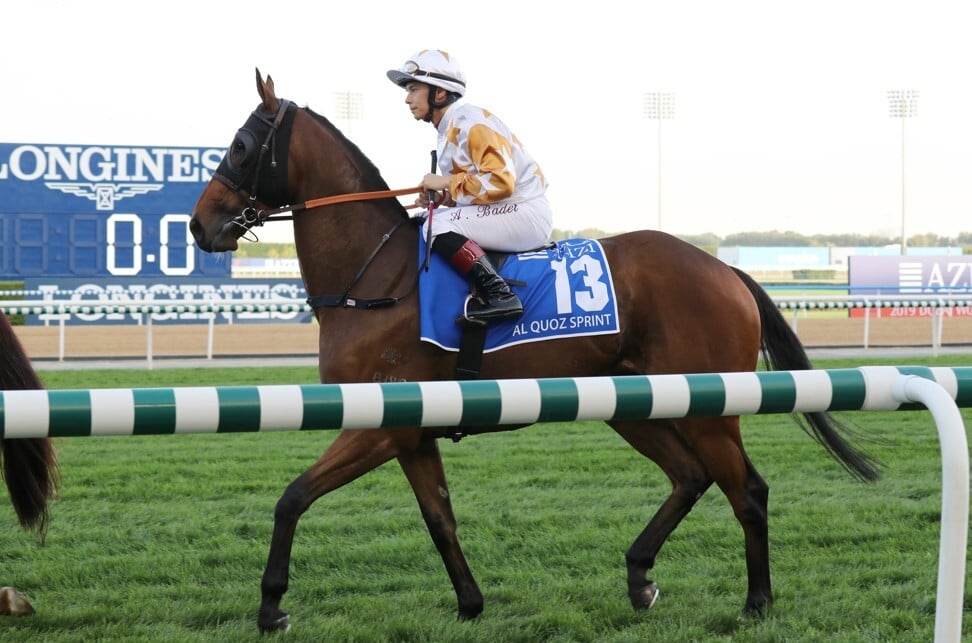 Wishful Thinker after finishing unplaced in the 2019 Al Quoz Sprint in Dubai.