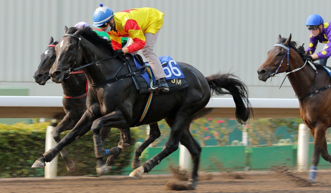 Savvy Nine trials at Sha Tin.