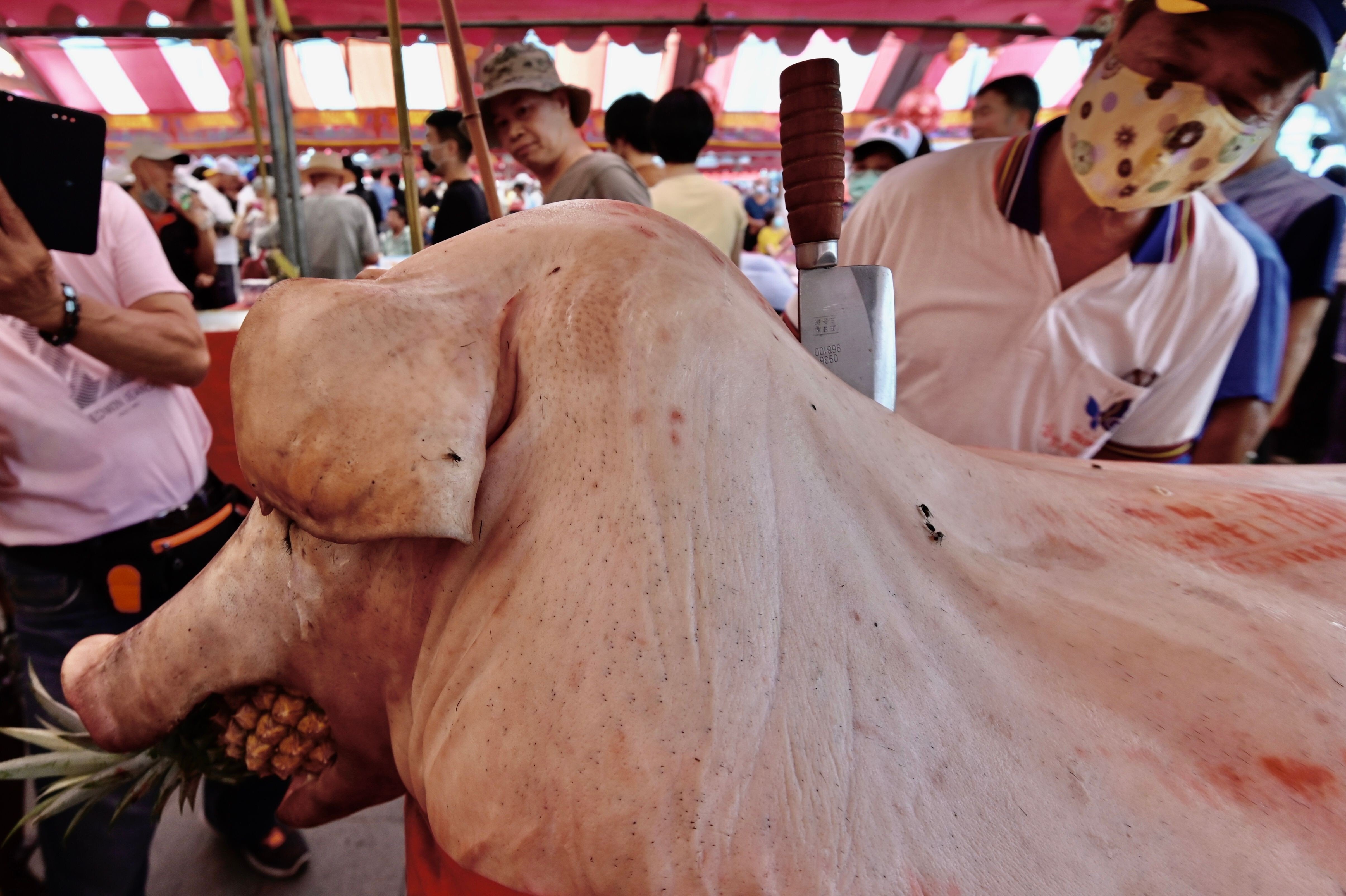 Pig Festival Carlsbad 2022