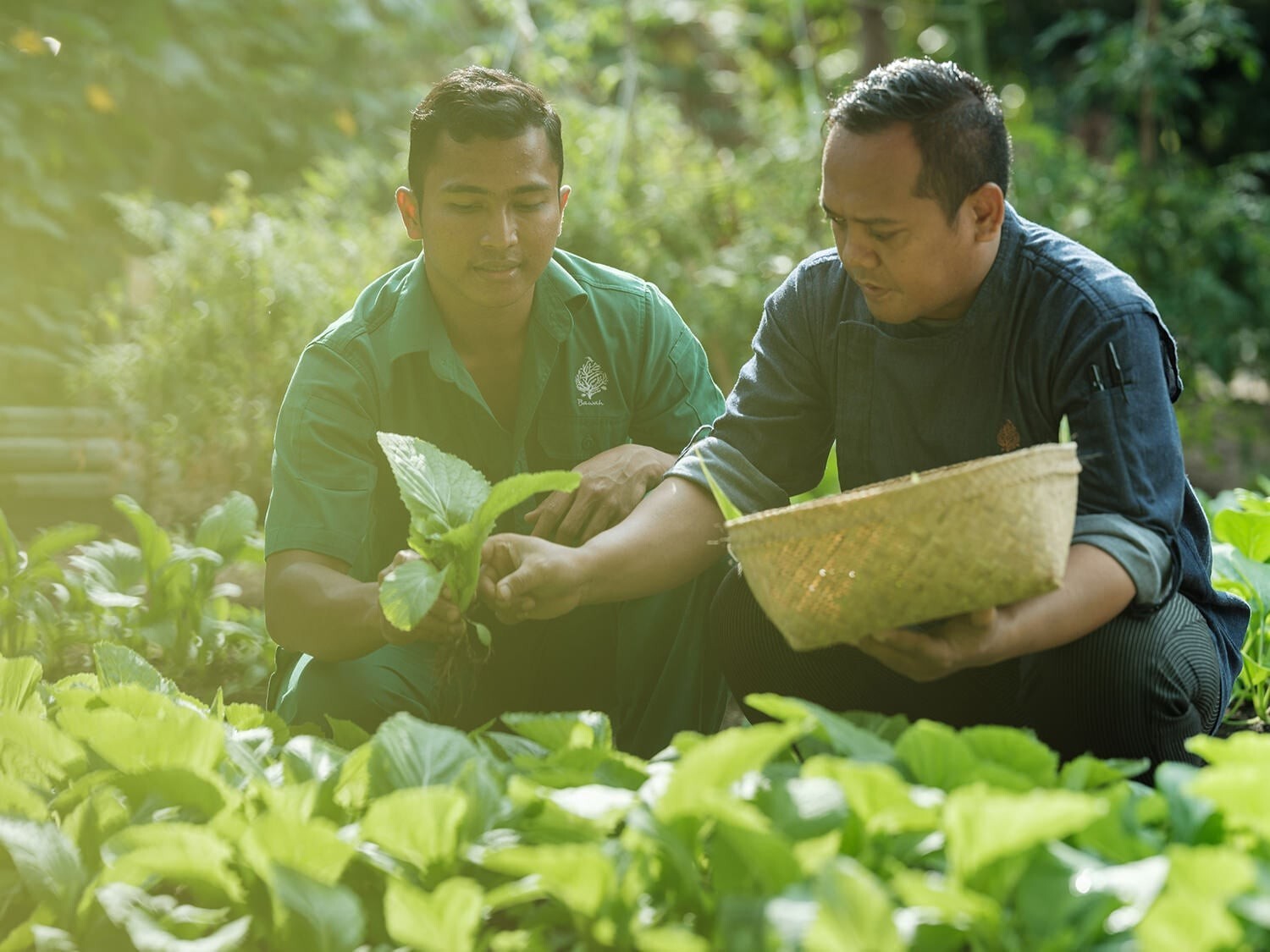 Bawah Reserve, a regenerative resort in Indonesia’s Riau Archipelago, grows most its own produce. Photo: Regenerative Travel